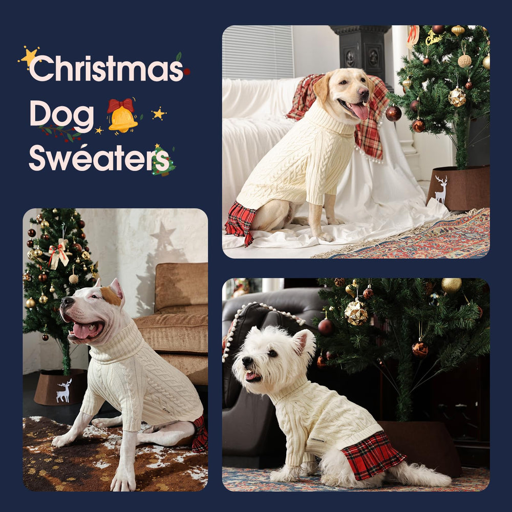 IECOii festive style fits holiday events and photo sessions.