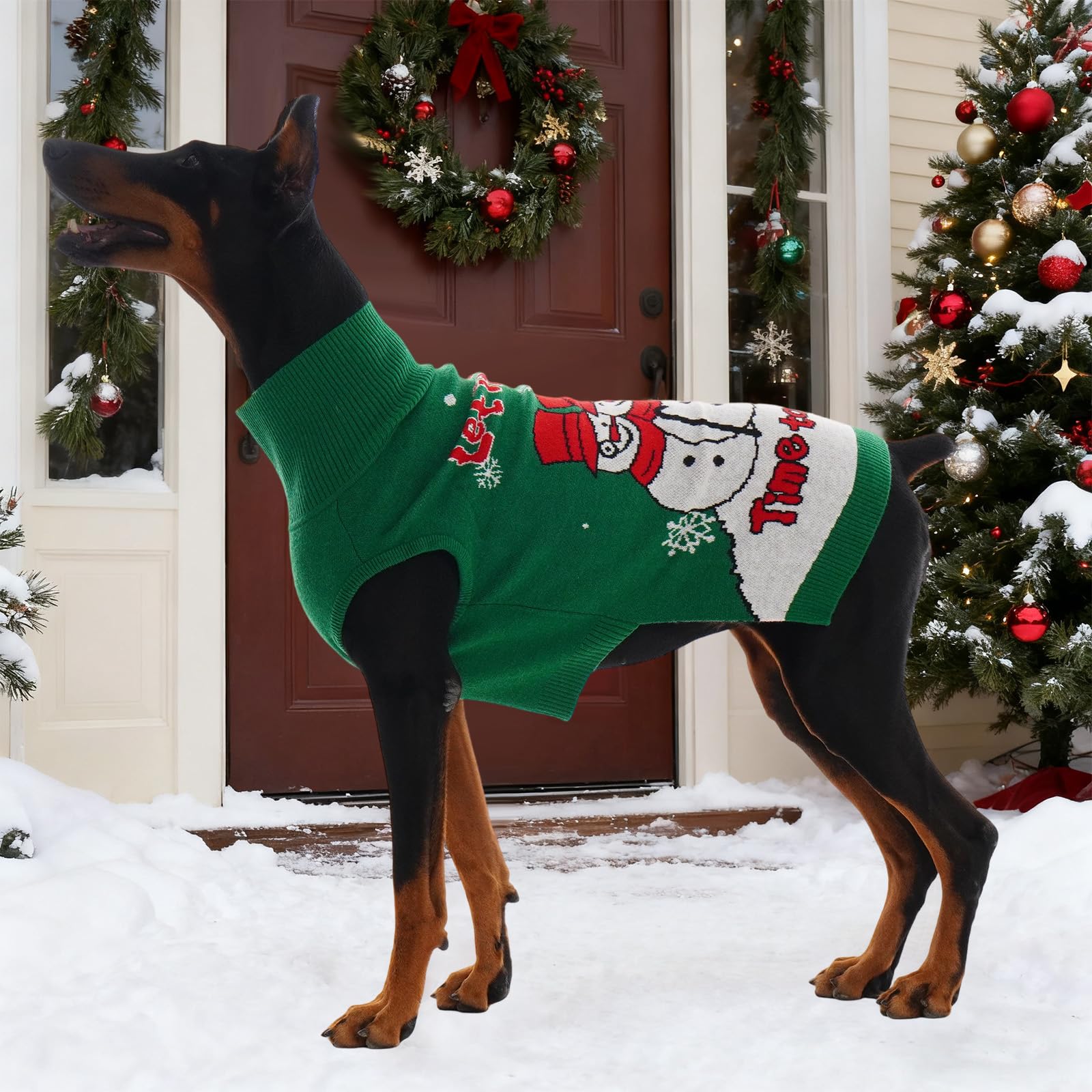 IECOii photoshoot-ready sweater enhances holiday memories with pups
