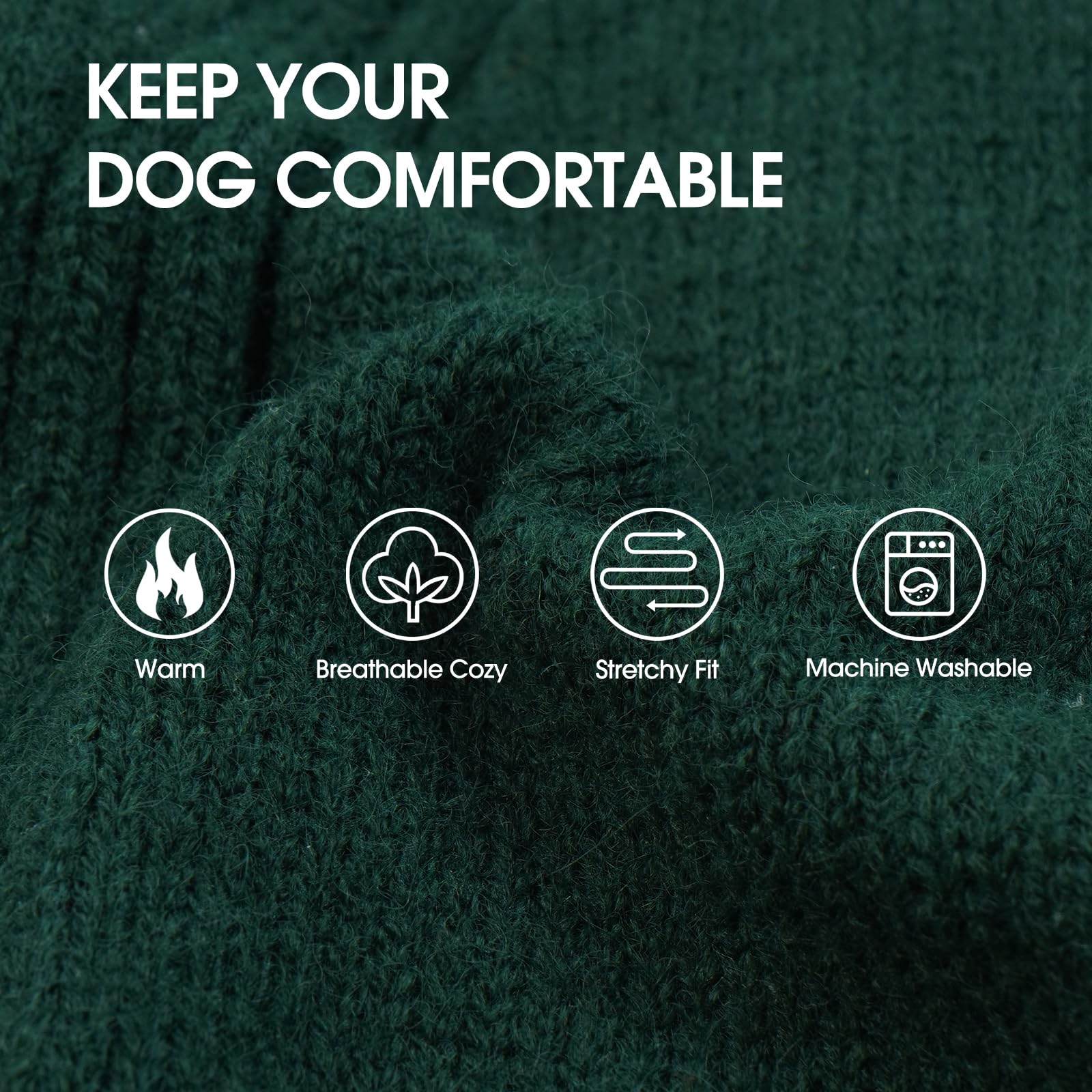 IECOii Dachshund Sweater green back view shows warm knit for outdoor outings.