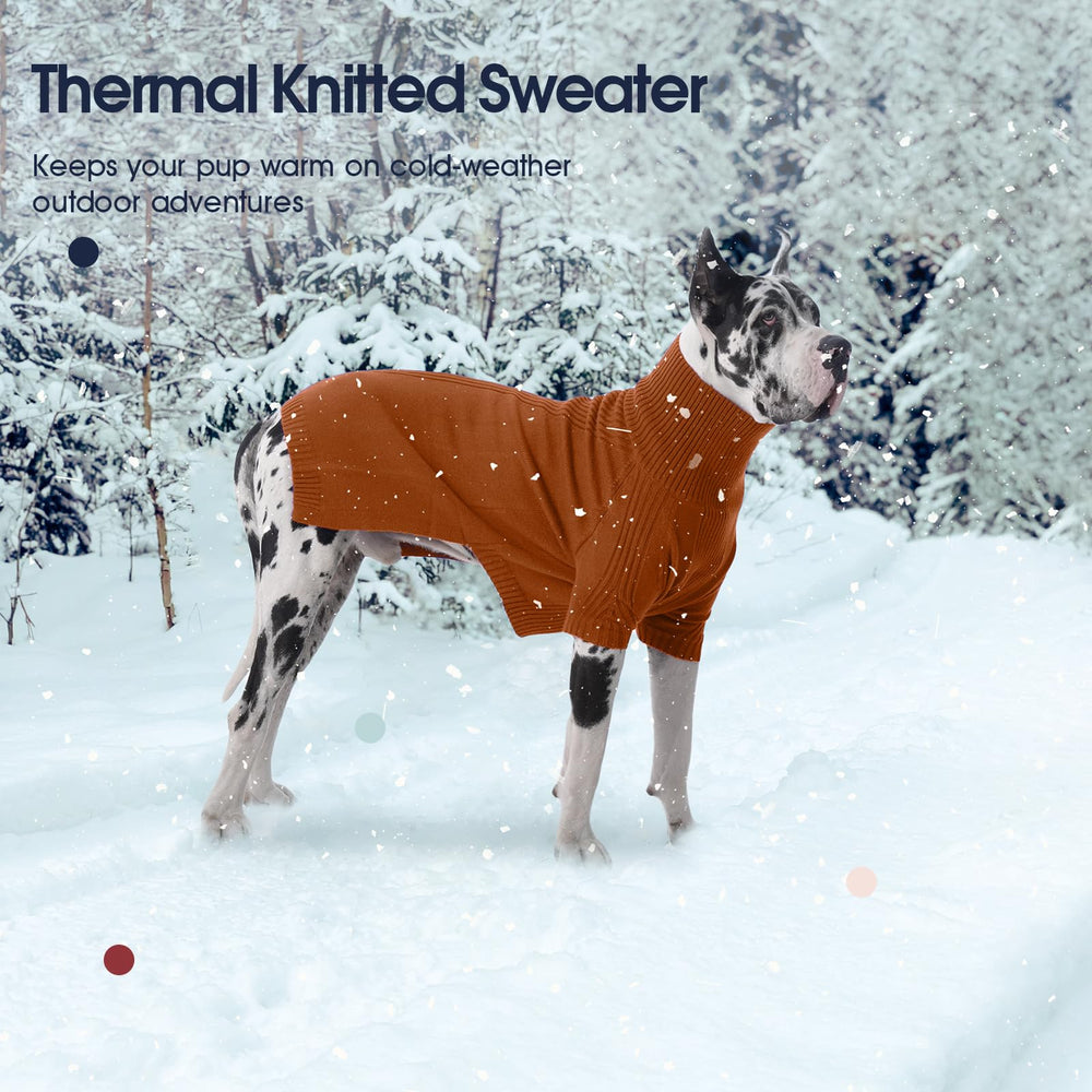 IECOii dachshund sweater neutral color option suited for daily wear