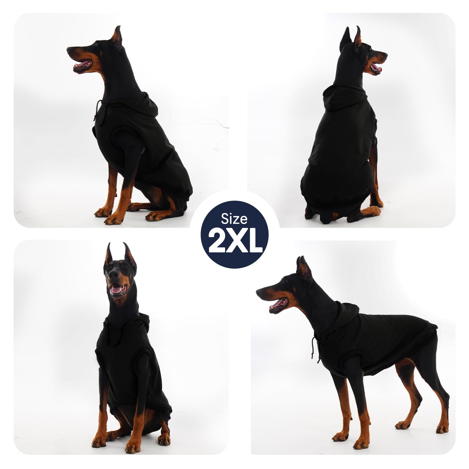 IECOii 2XL hoodie on larger breeds like doberman or lab offers easy daily wear