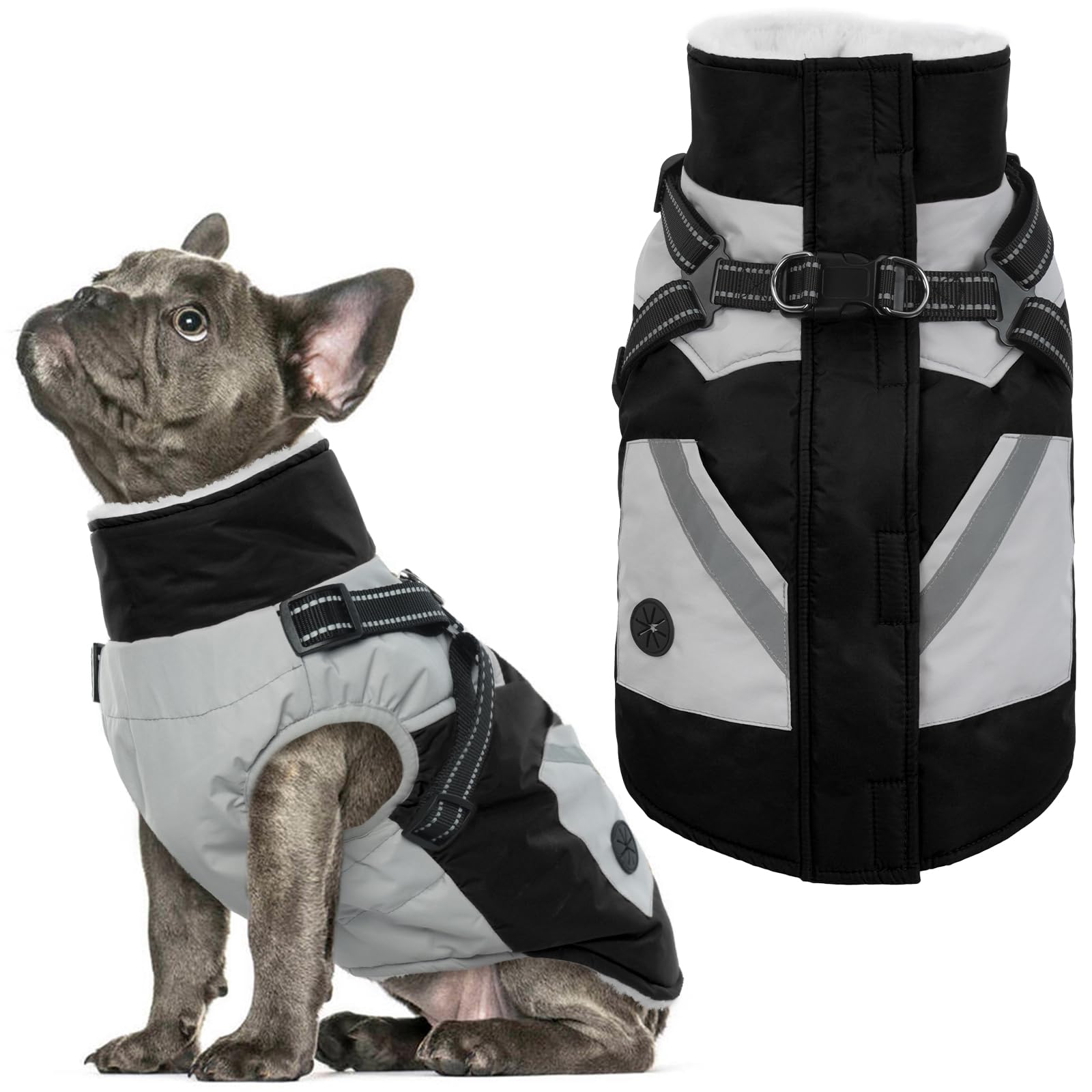 IECOii dog coat with harness built-in back view shows 2-in-1 design for easy walks.