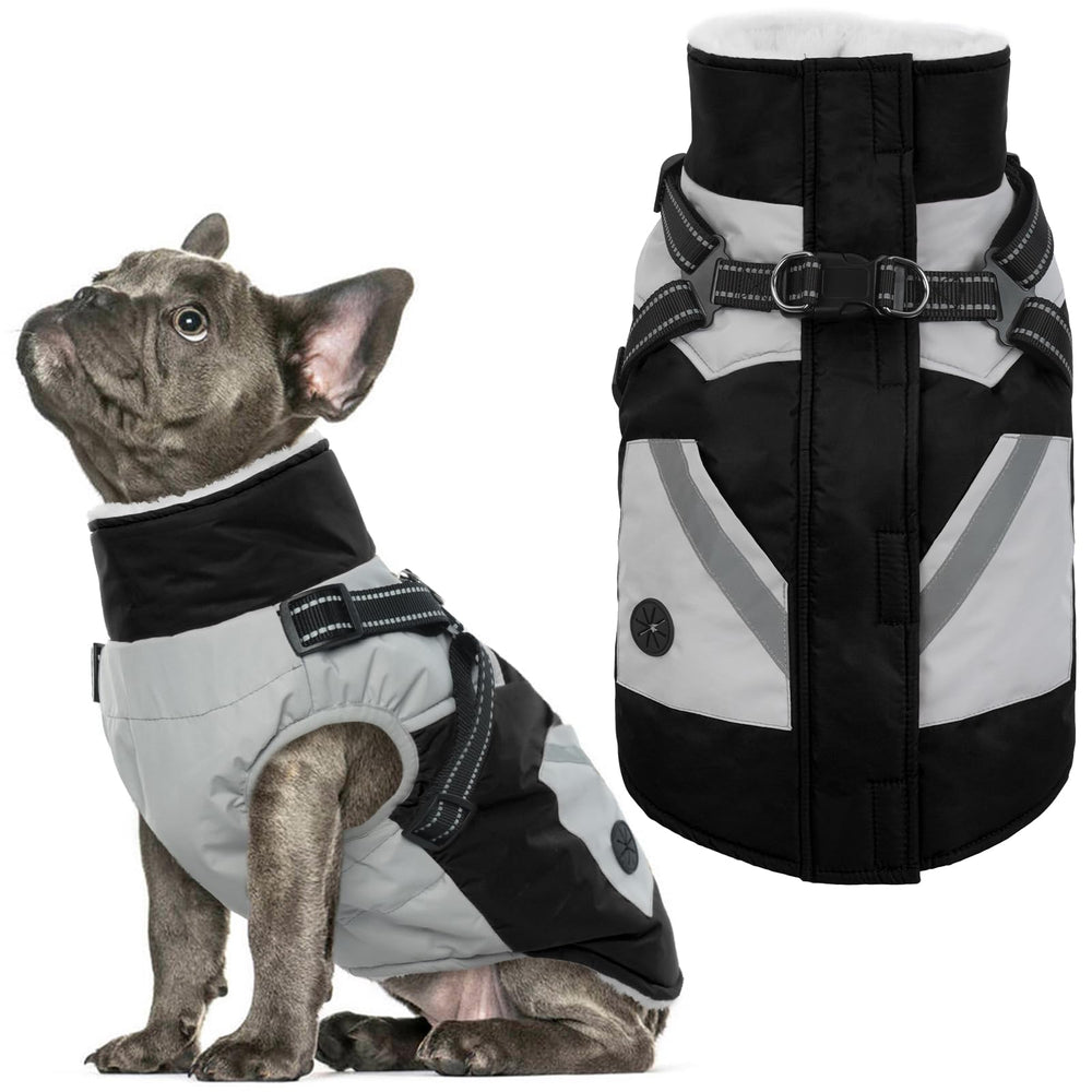 IECOii dog coat with harness built-in back view shows 2-in-1 design for easy walks.