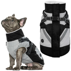 IECOii dog coat with harness built-in back view shows 2-in-1 design for easy walks.