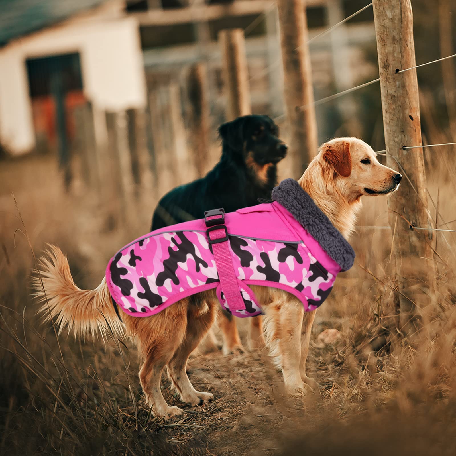 IECOii harness-hole design supports most harnesses for safe night walks.
