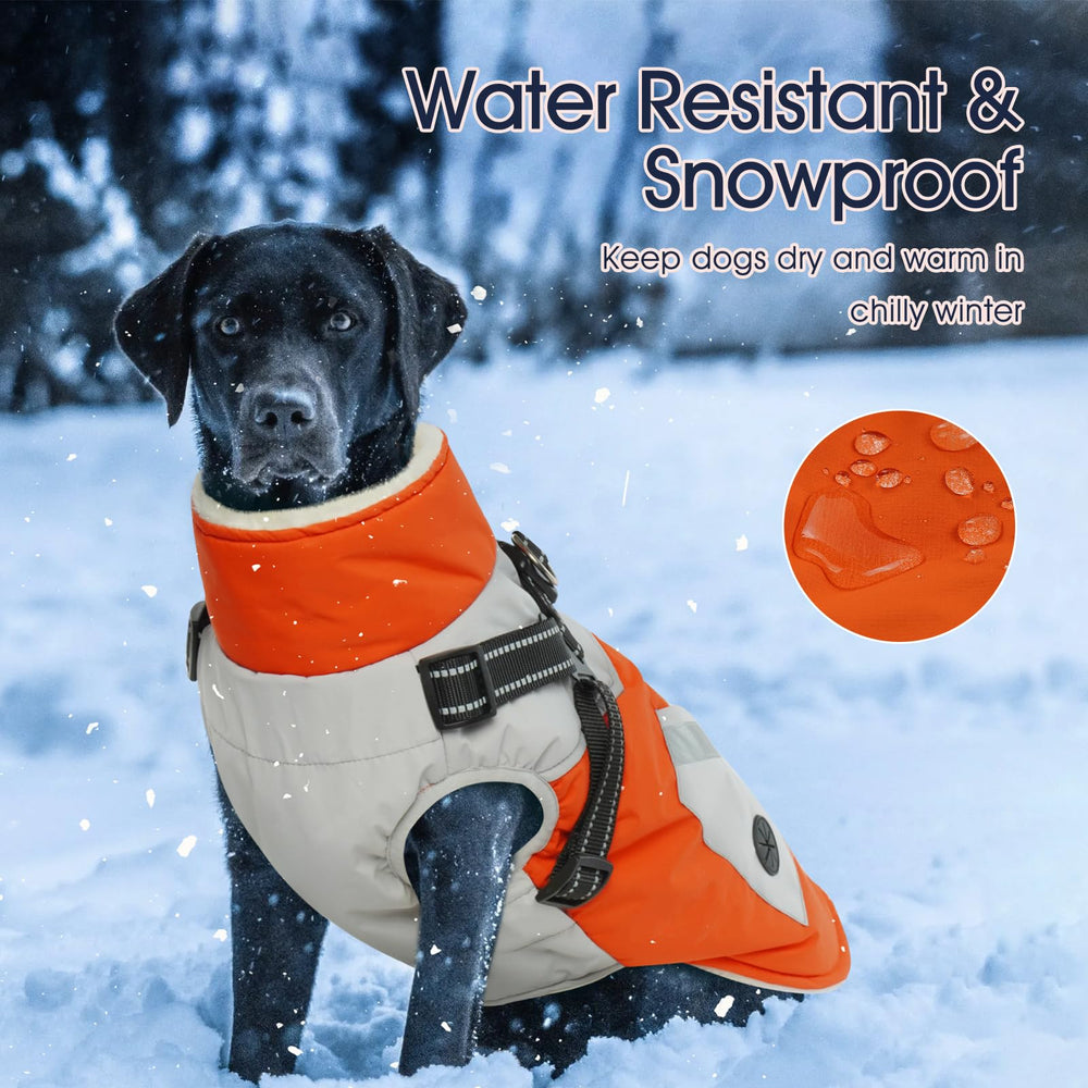 IECOii dog coat large orange xlarge reflective-straps improve visibility during night walks