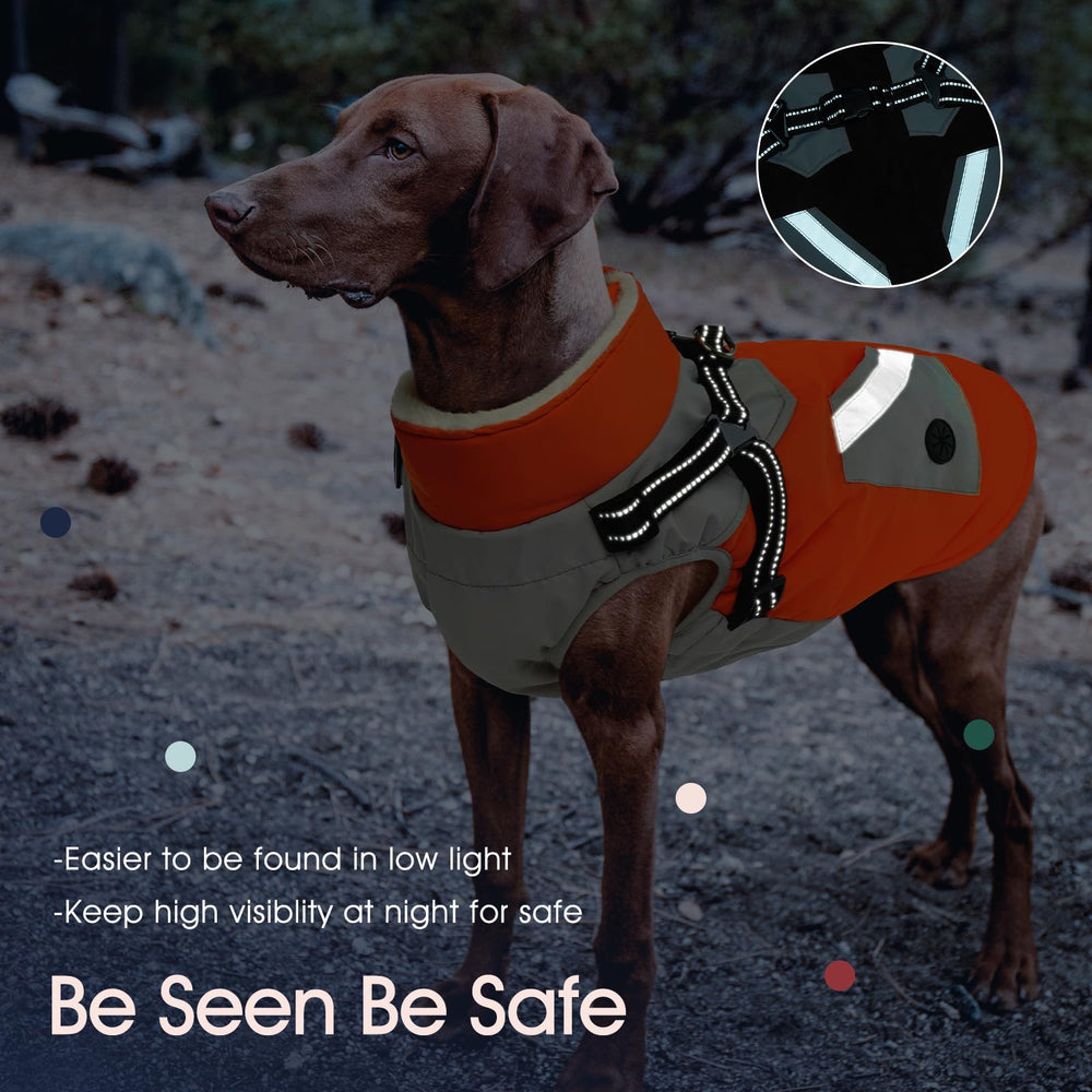 IECOii dog coat reflective straps improve visibility for safe night walks.