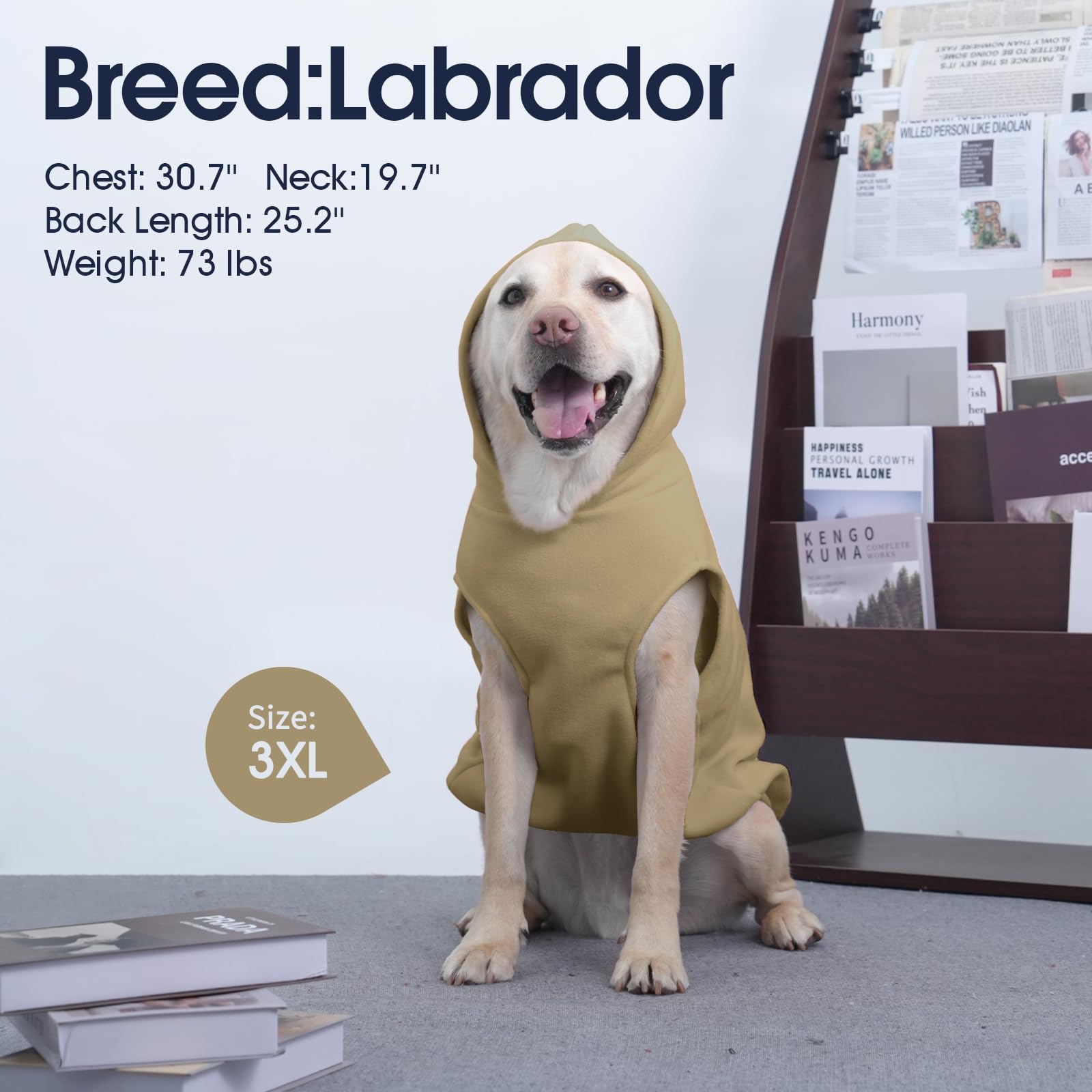 IECOii dog hoodie khaki color adds stylish warmth