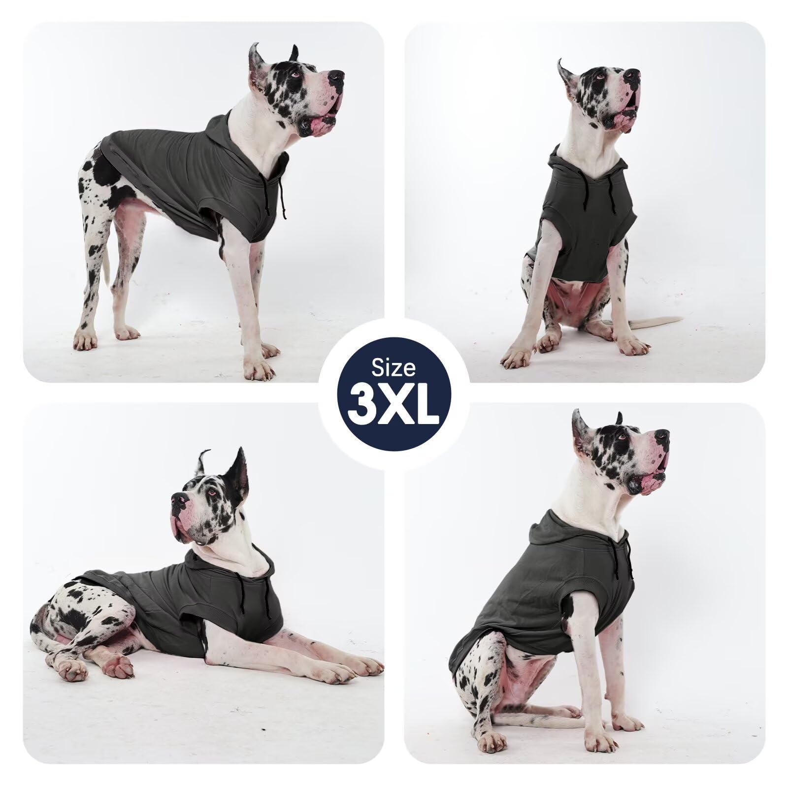 IECOii dog hoodie outdoor walk scene emphasizes practical warmth during strolls.