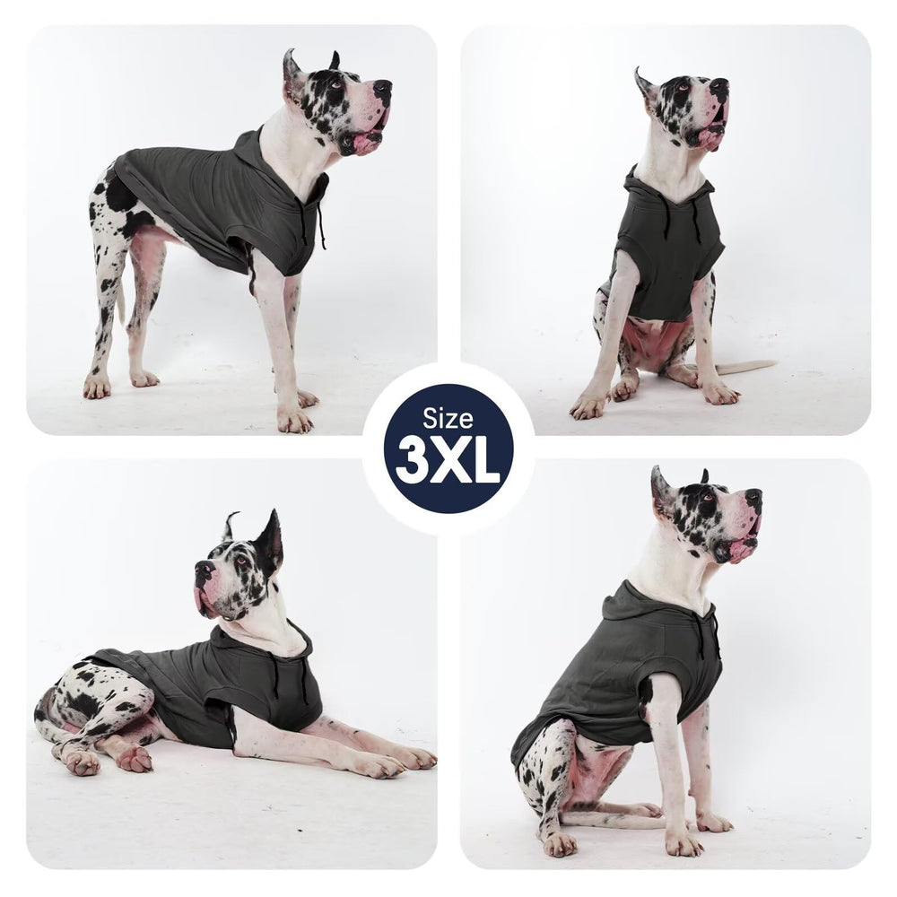 IECOii dog hoodie outdoor walk scene emphasizes practical warmth during strolls.