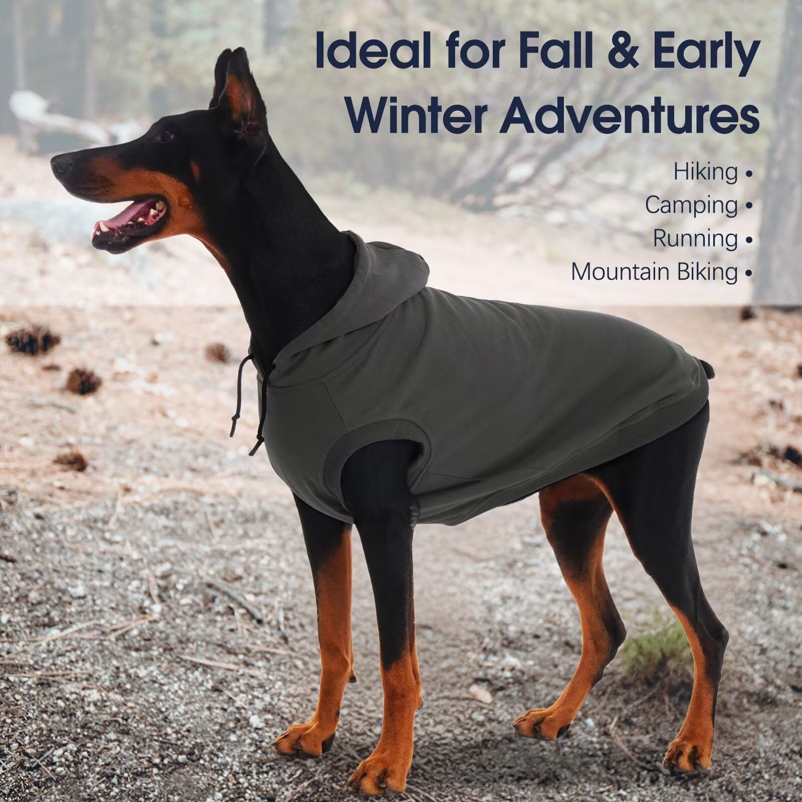 IECOii dog hoodie pullover design enables simple on-off dressing.