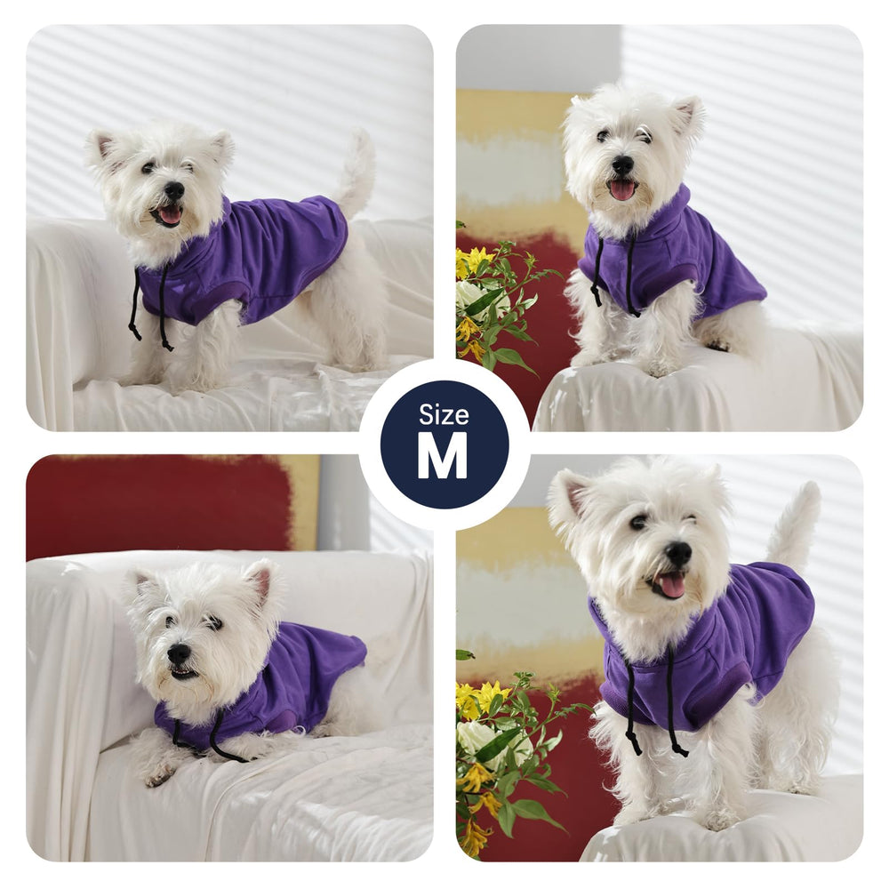 IECOii dog hoodie purple on small dog showing casual warmth.