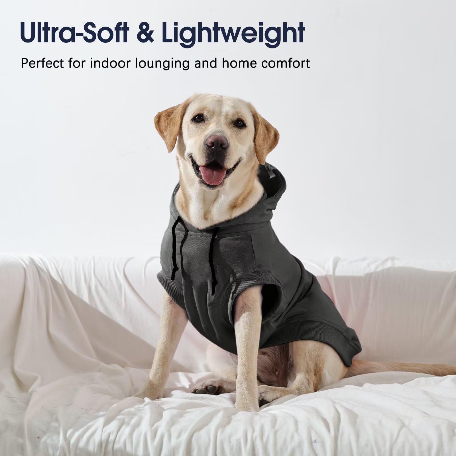 IECOii dog hoodie worn on a large dog demonstrating versatile styling.