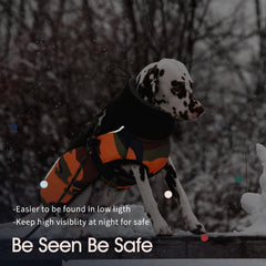 IECOii adjustable buckle and straps for easy on/off and secure fit