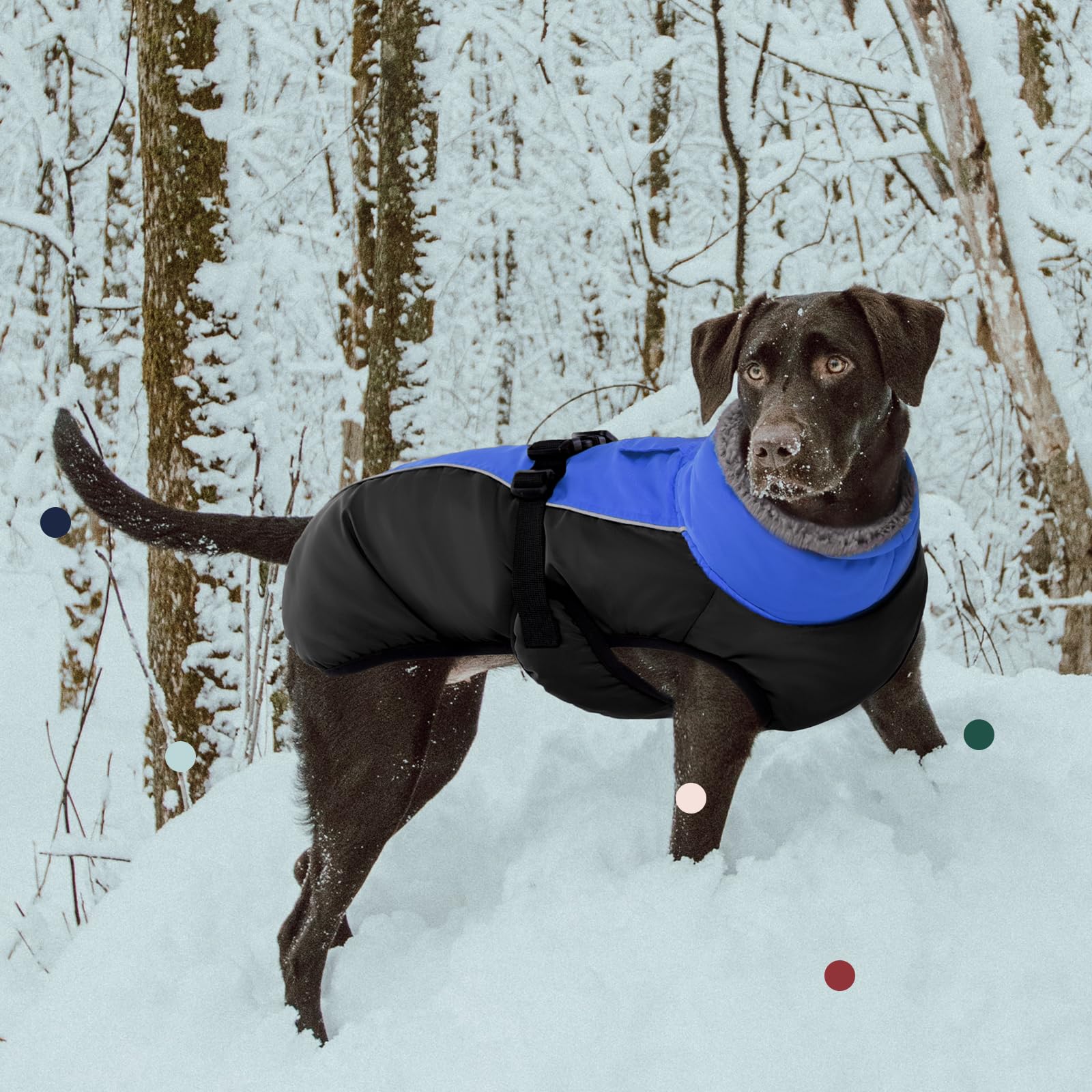 IECOii dog jacket adjustable straps ensure a snug fit across sizes