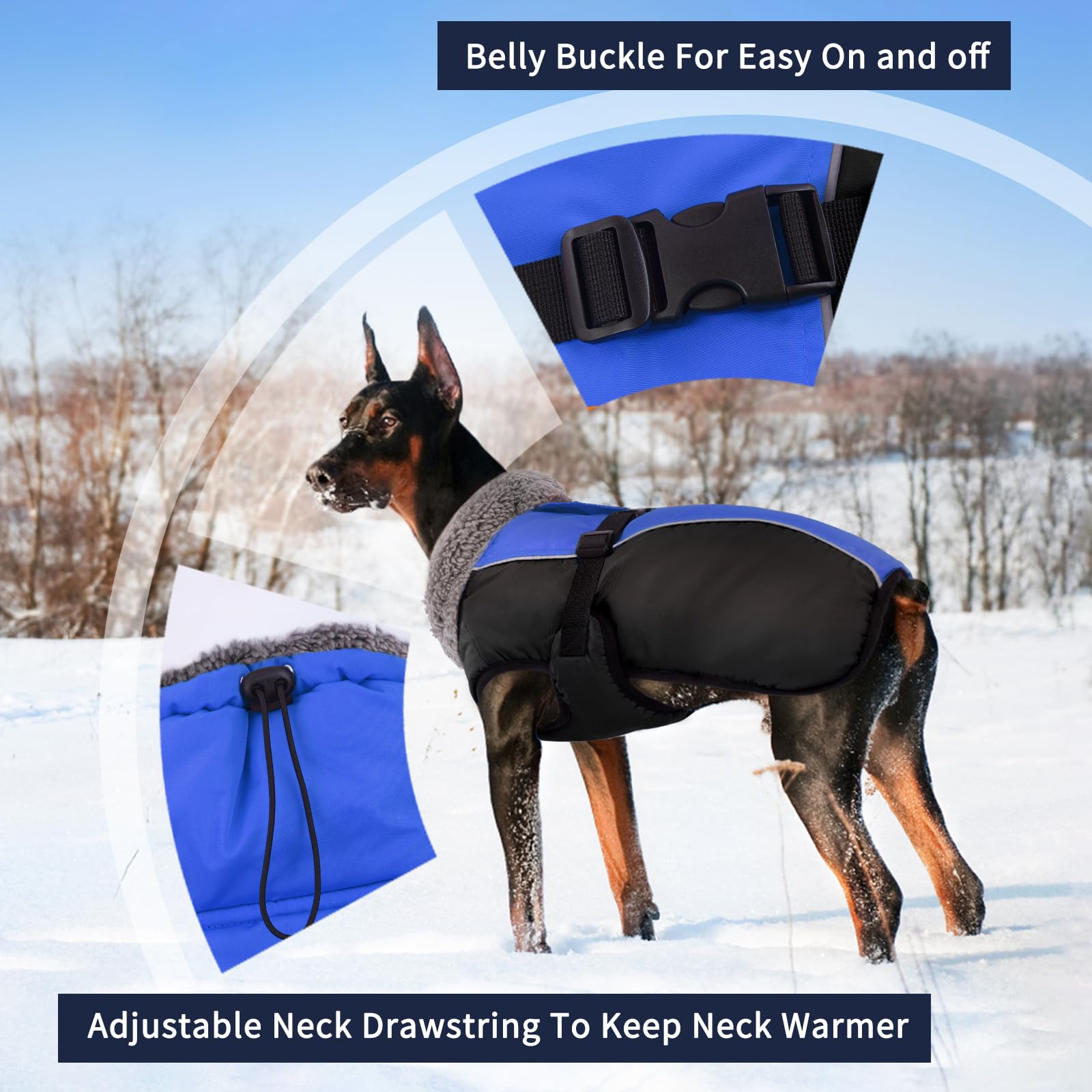 IECOii dog jacket buckle-closure for quick secure on/off during walks