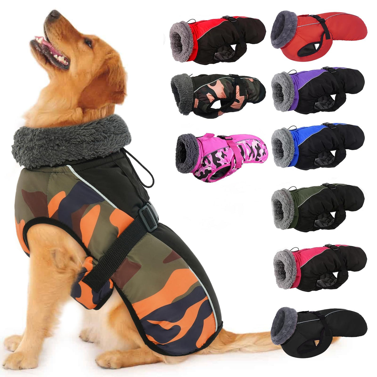 IECOii dog jacket front view showing secure fit for outdoor adventures