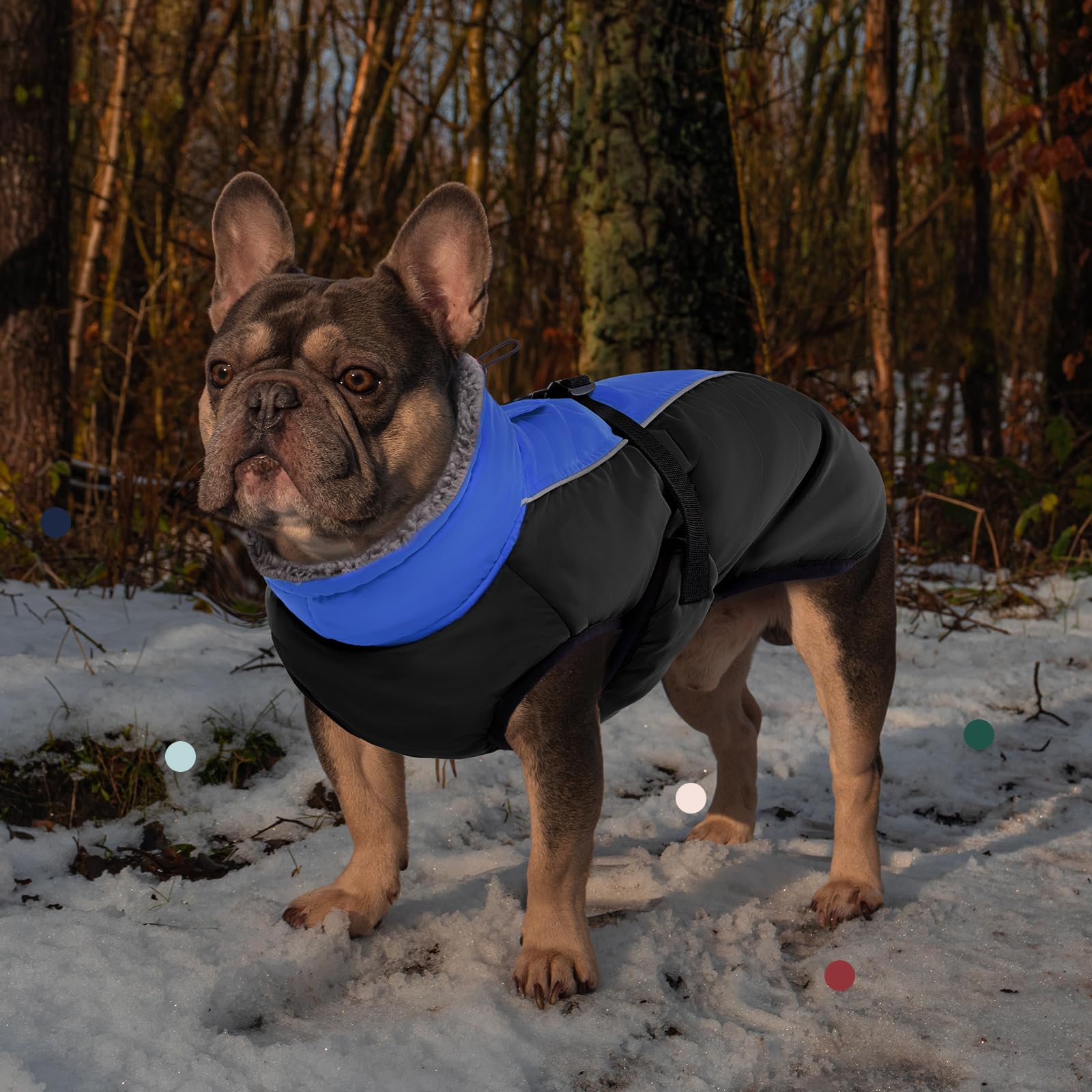 IECOii dog jacket harness hole enables leash compatibility during night strolls