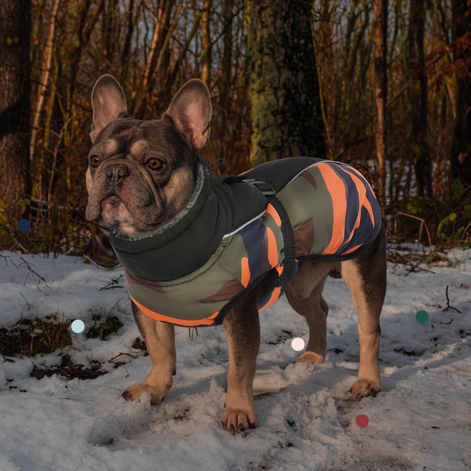 IECOii harness hole allows leash use with compatible harnesses