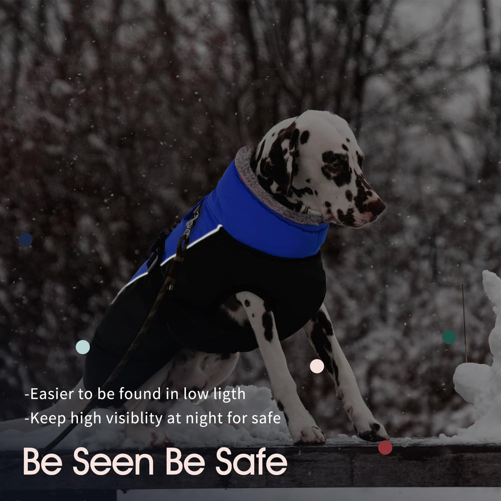 IECOii dog jacket waterproof fabric shields against rain and snow