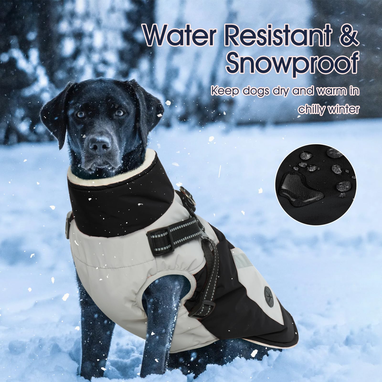 IECOii dog jacket reflective strips boost visibility at night