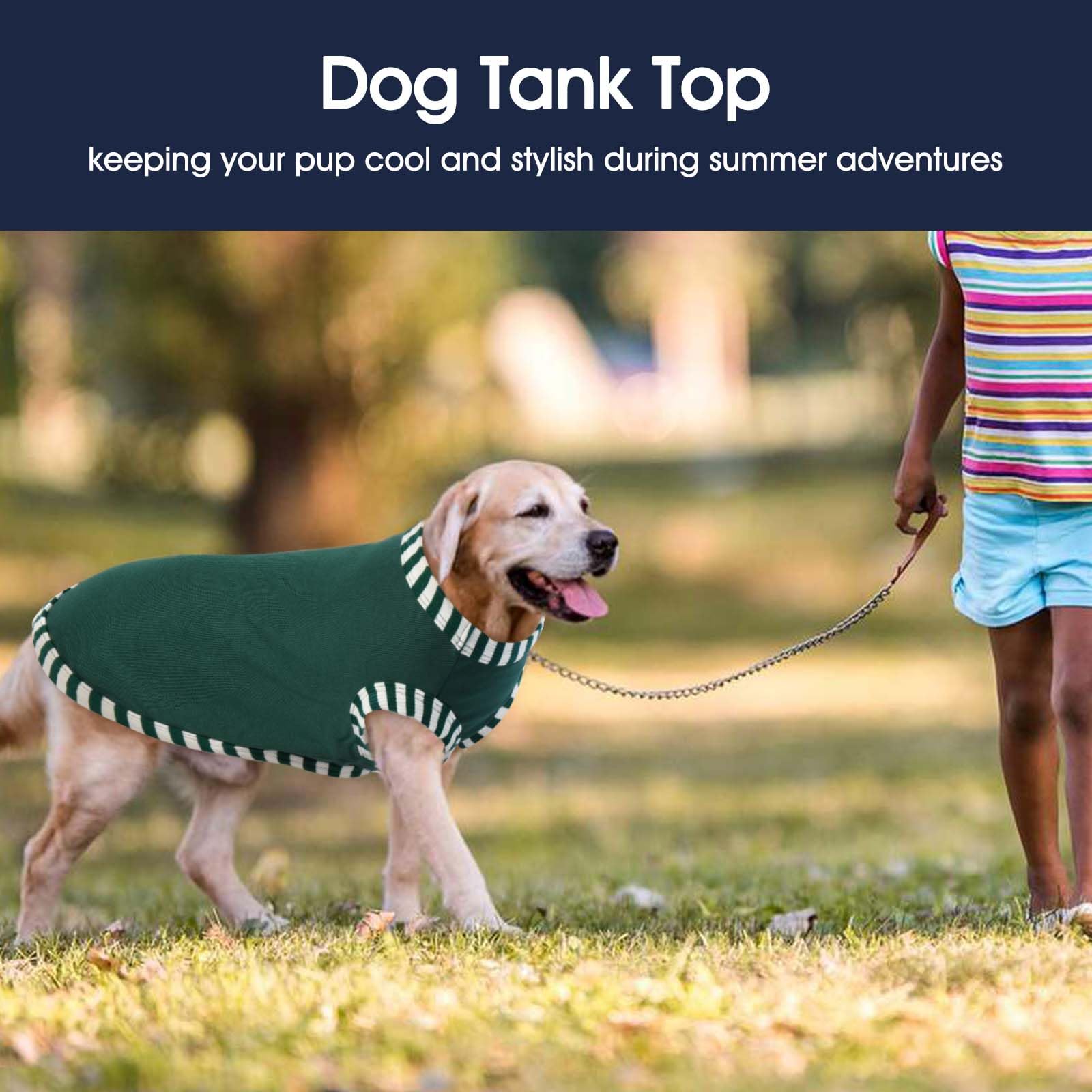 IECOii dog shirt pack pair shows convenient 2-pack for quick wardrobe changes