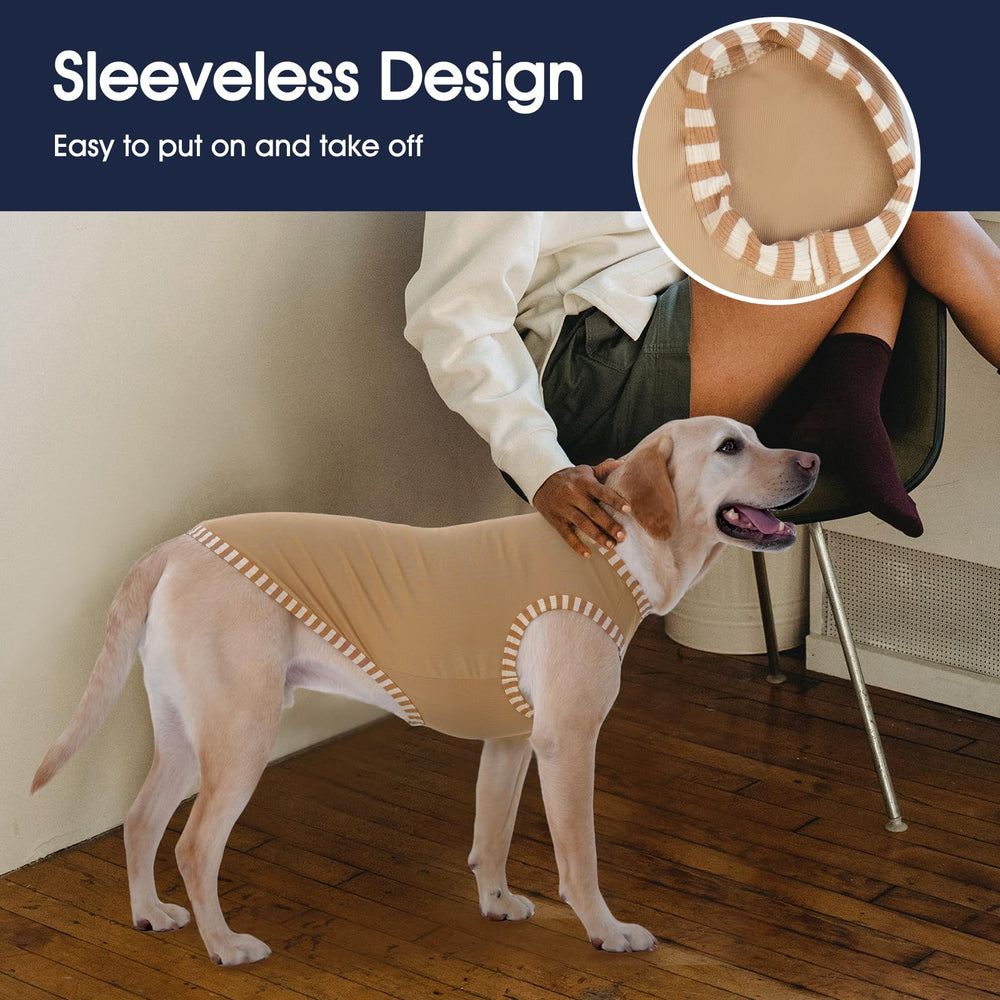 IECOii dog shirt ventilated outdoor use shows cooling layer during sunny walks