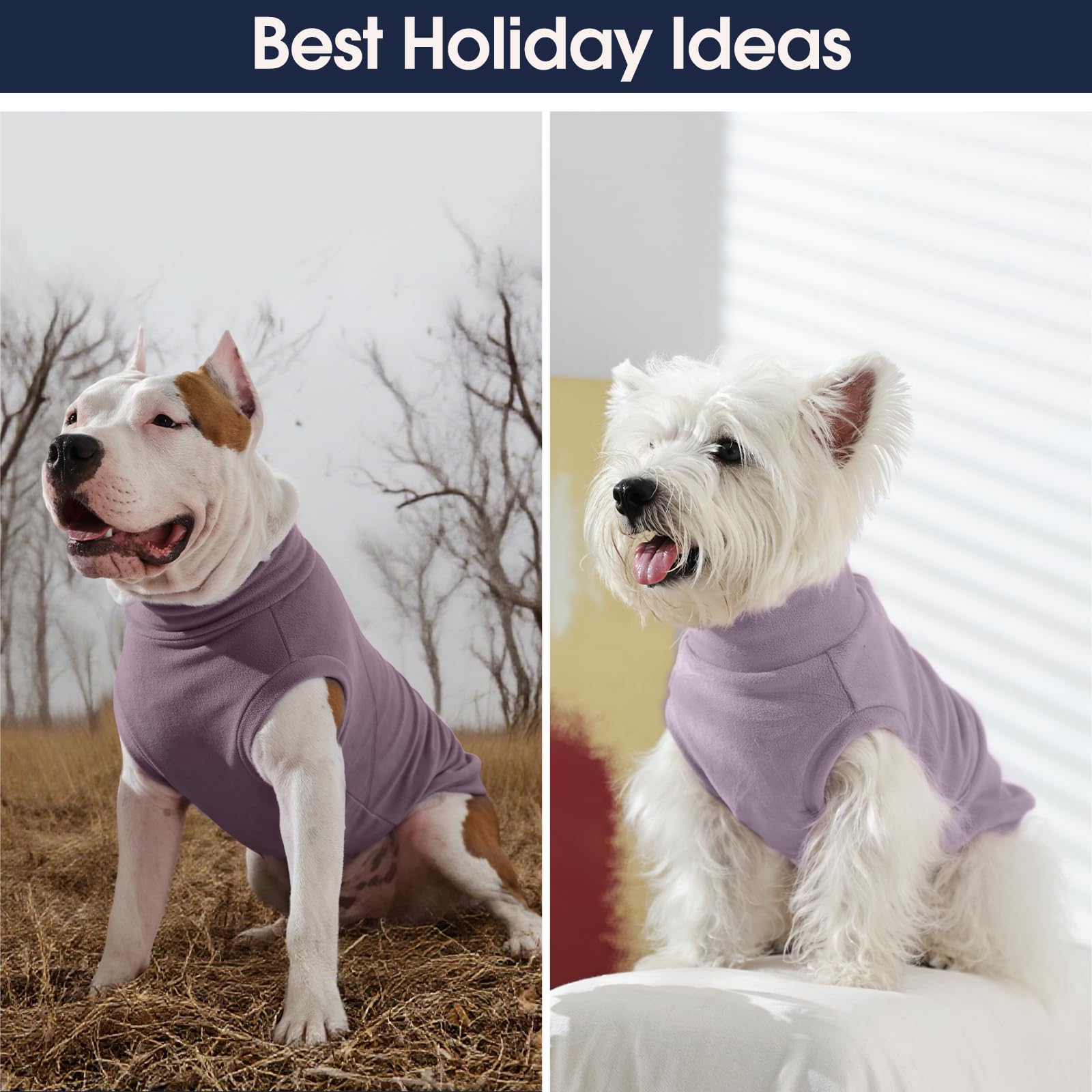 IECOii dog sweater 2-pack color variation appearance suitable for indoors and outdoors