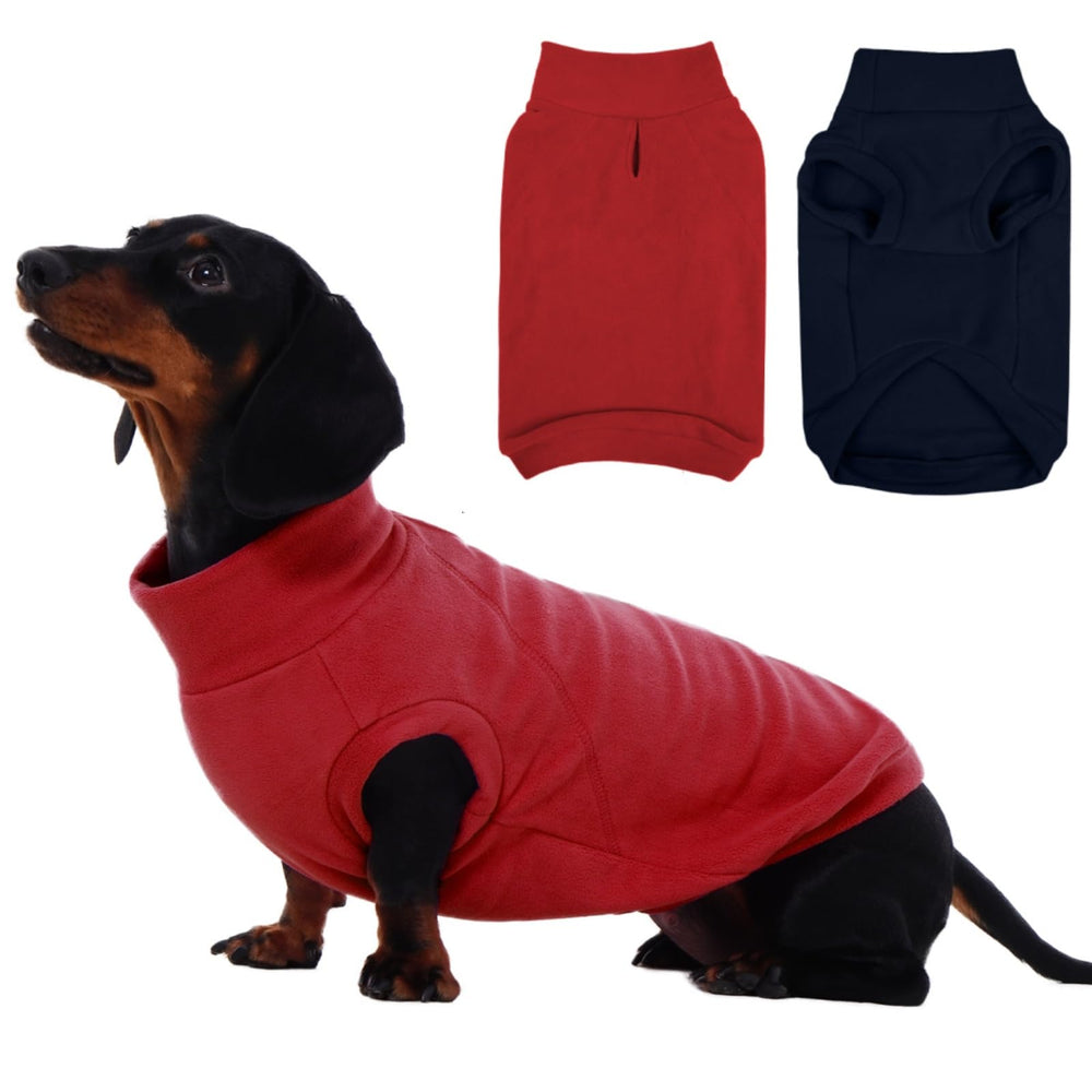 IECOii dog sweater blue front view for cozy warmth on walks
