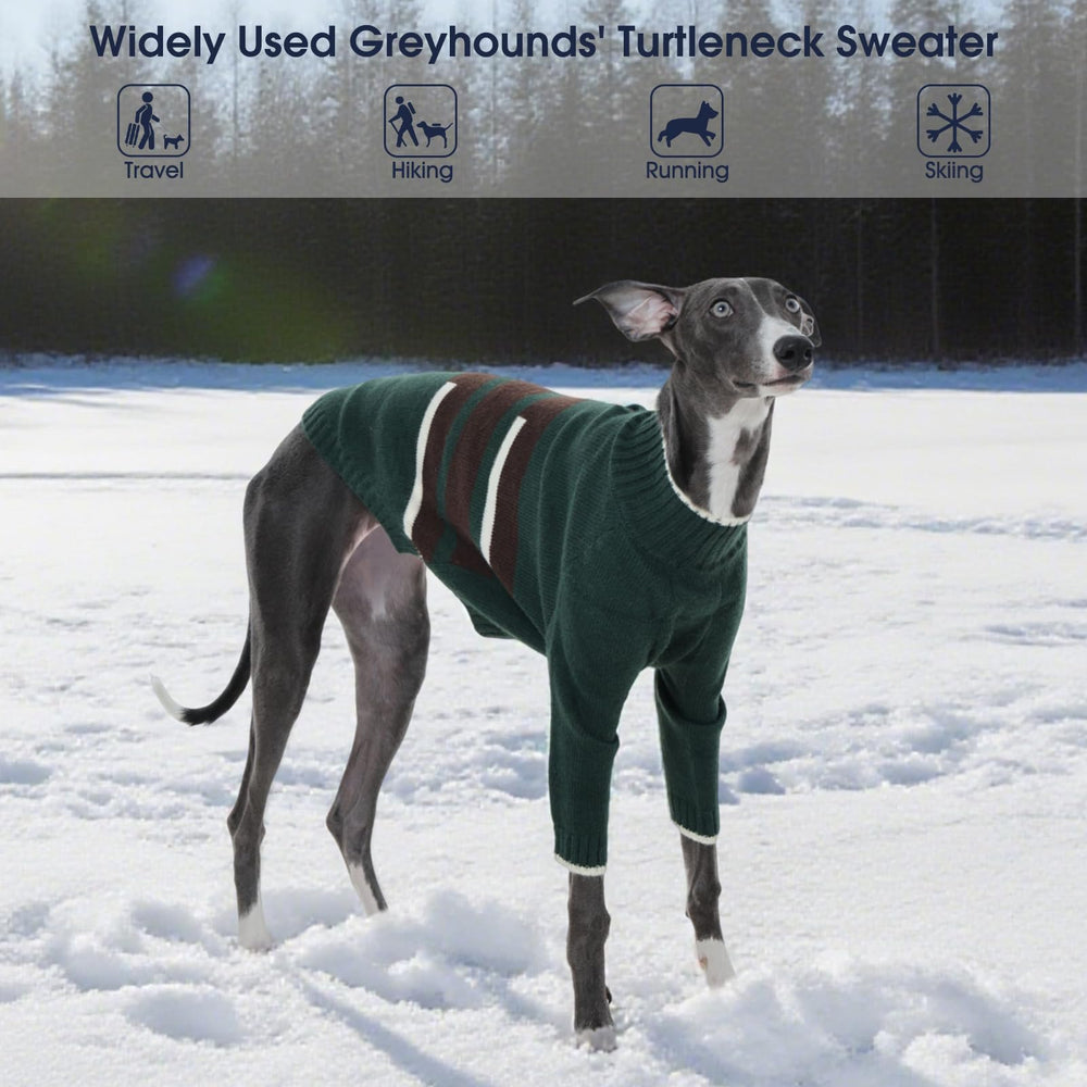 IECOii Dog sweater easy-on-off green for quick indoor-outdoor layering