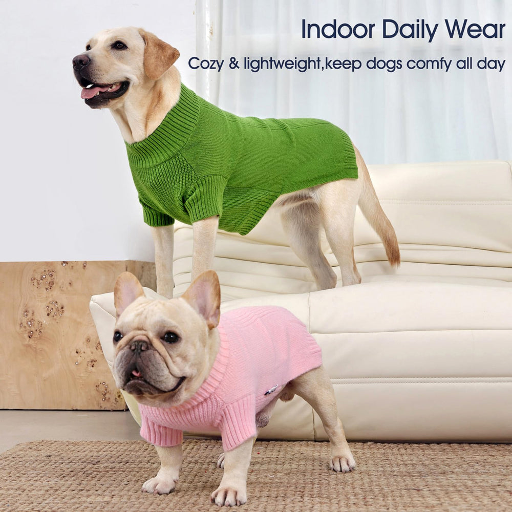 IECOii dog sweater green holiday-style on a festive pup.