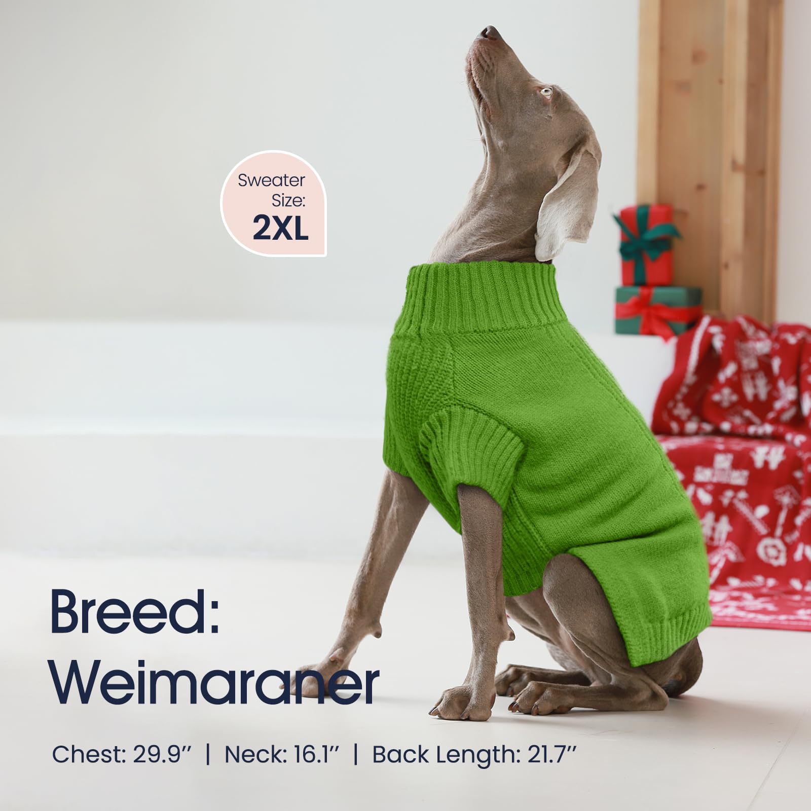 IECOii dog sweater green knit-detail highlights stretchable comfort.