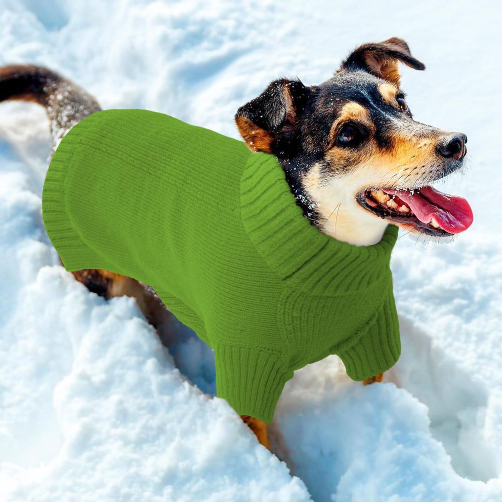 IECOii dog sweater green-on-dog during a fall walk demonstrates snug fit.