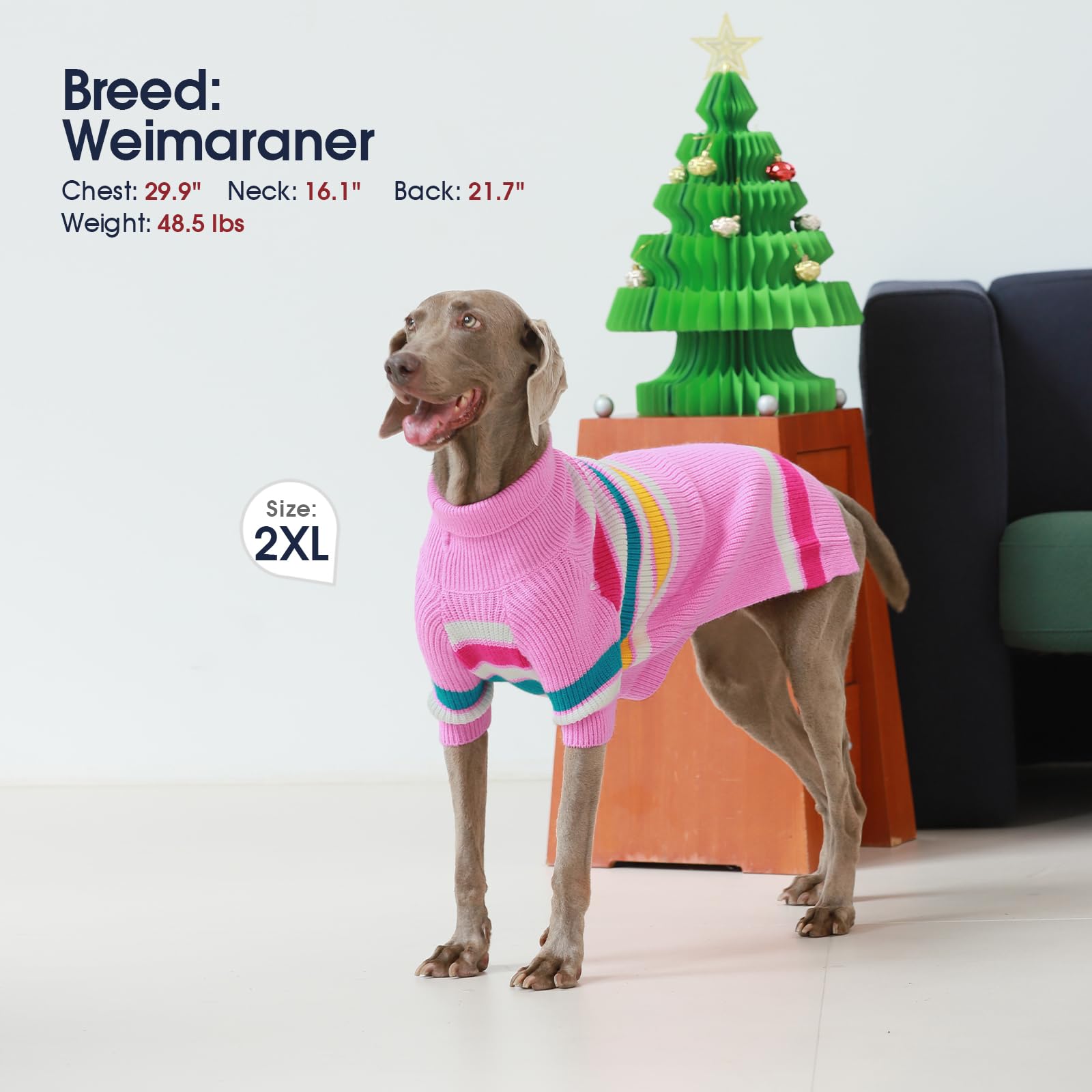 IECOii holiday dog sweater for Thanksgiving and Christmas styling.