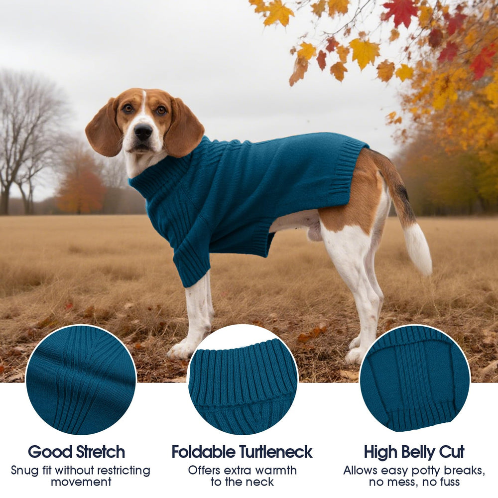 IECOii dog sweater pullover on dog demonstrates easy dressing