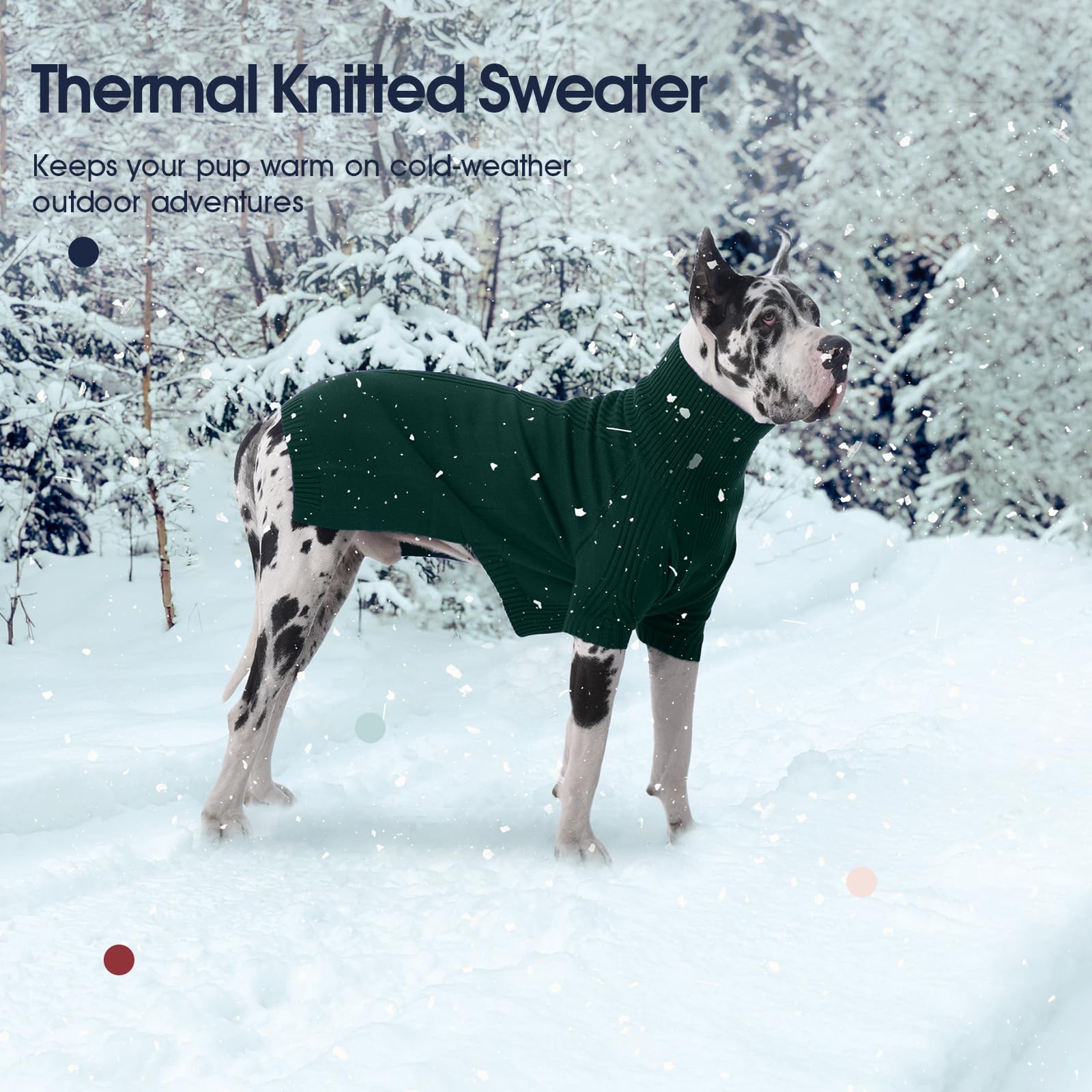 IECOii dog sweater worn on dog illustrating everyday indoor-outdoor use
