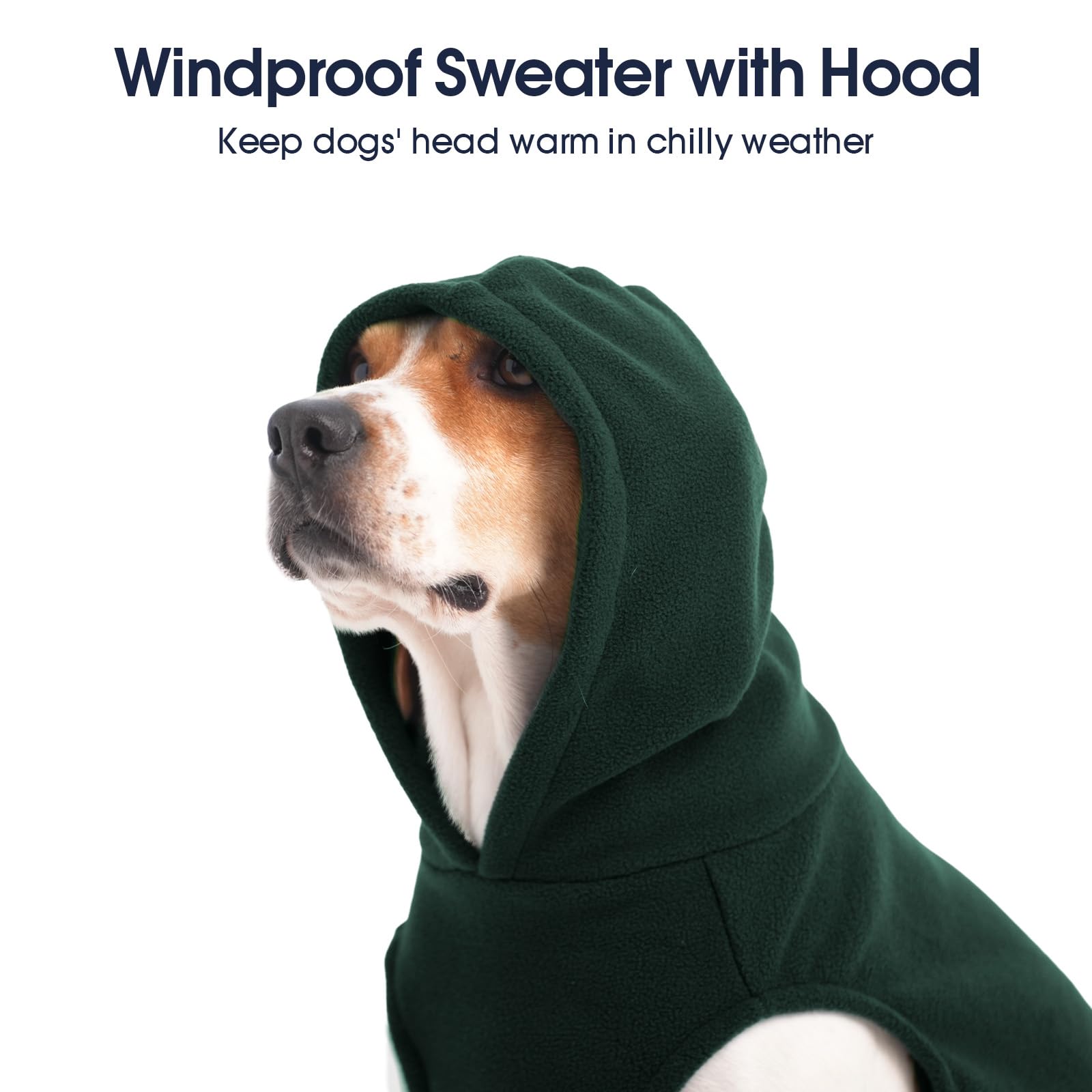 IECOii leash hole pullover for easy leash access during outdoor walks.