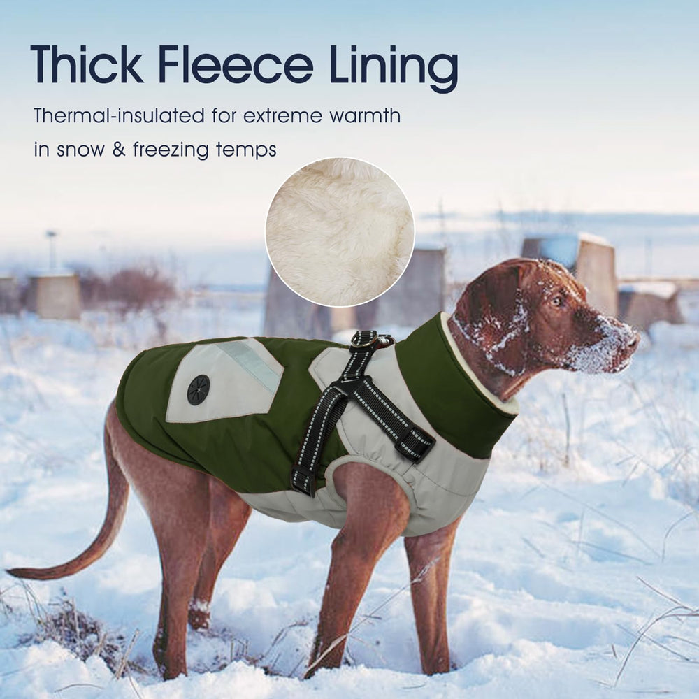 IECOii dog winter coat waterproof green medium back view demonstrates full coverage and secure fit