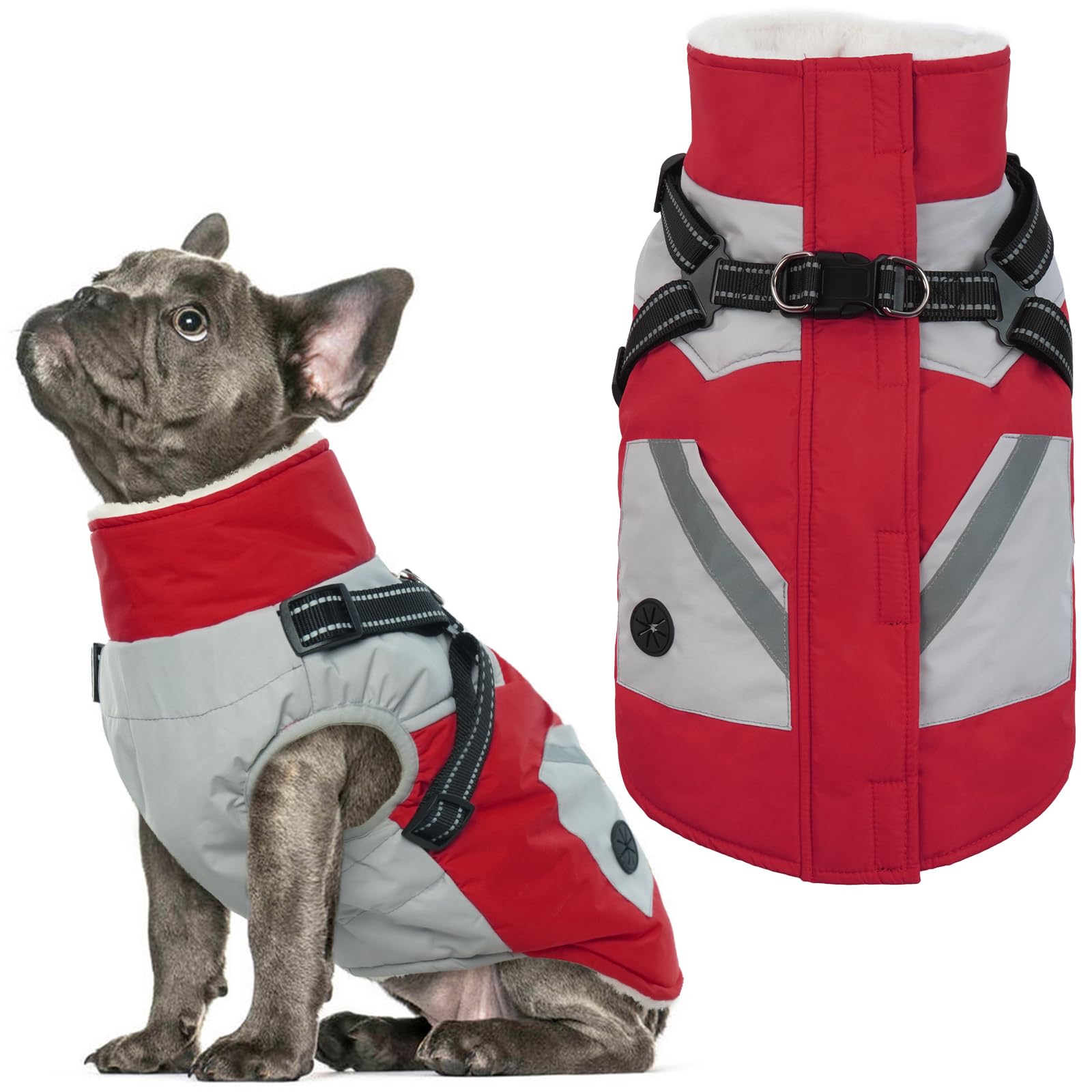 IECOii dog winter coat waterproof red medium front view with built-in harness for easy on-off