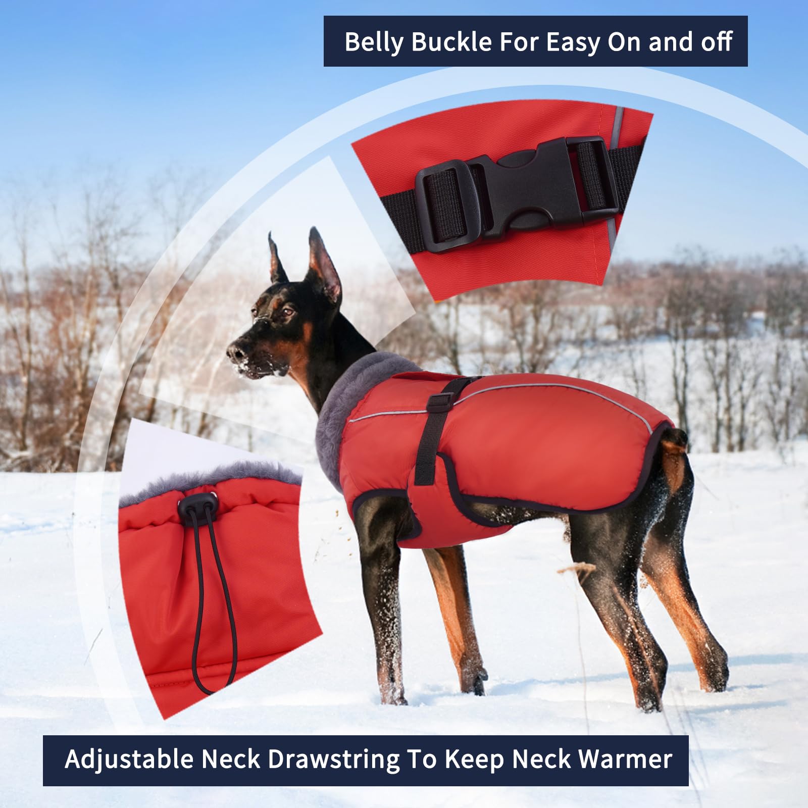 IECOii Extra Warm Dog Coat back view highlighting reflective strip for visibility