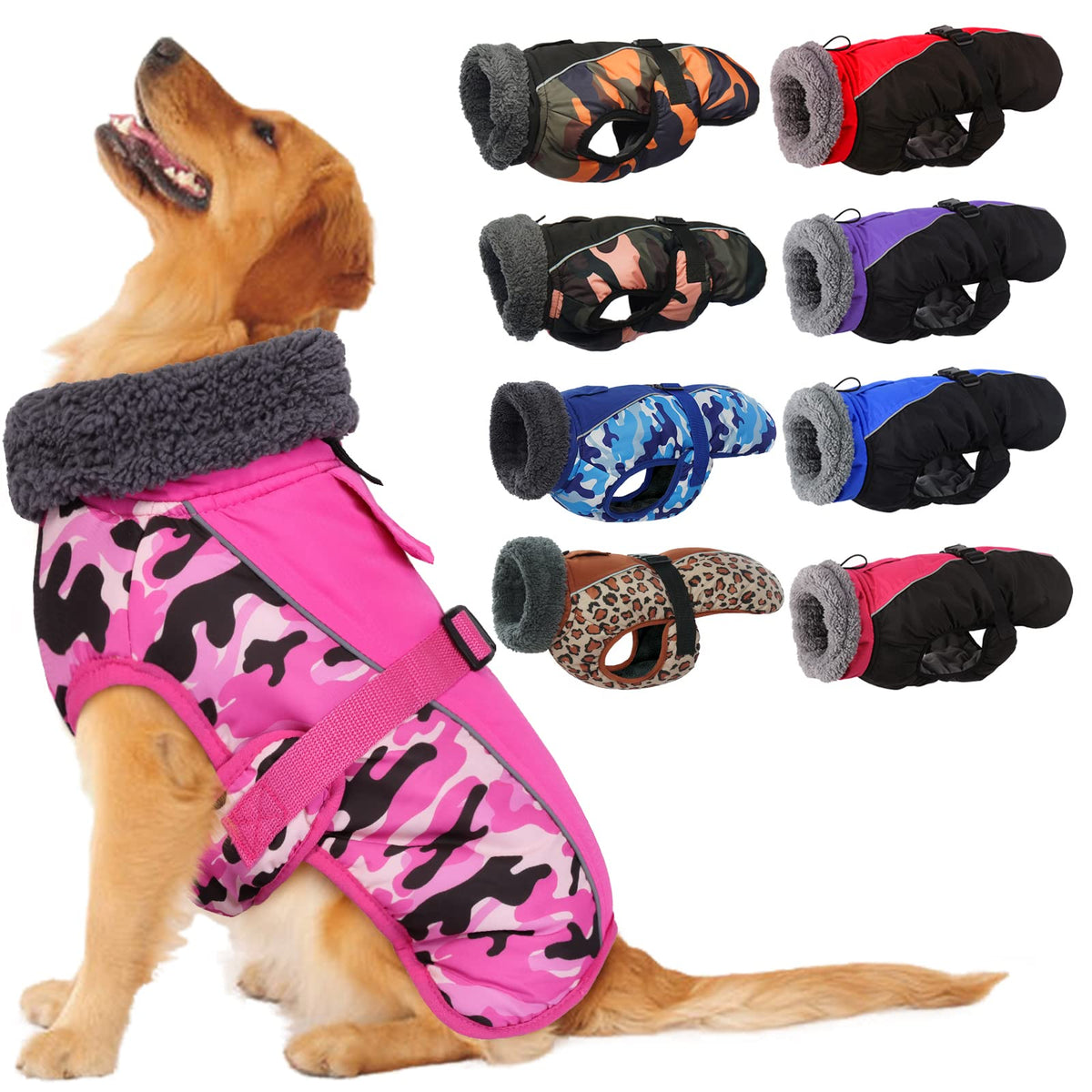 IECOii Extra Warm Dog Coat front view highlighting snug fit for chilly walks.