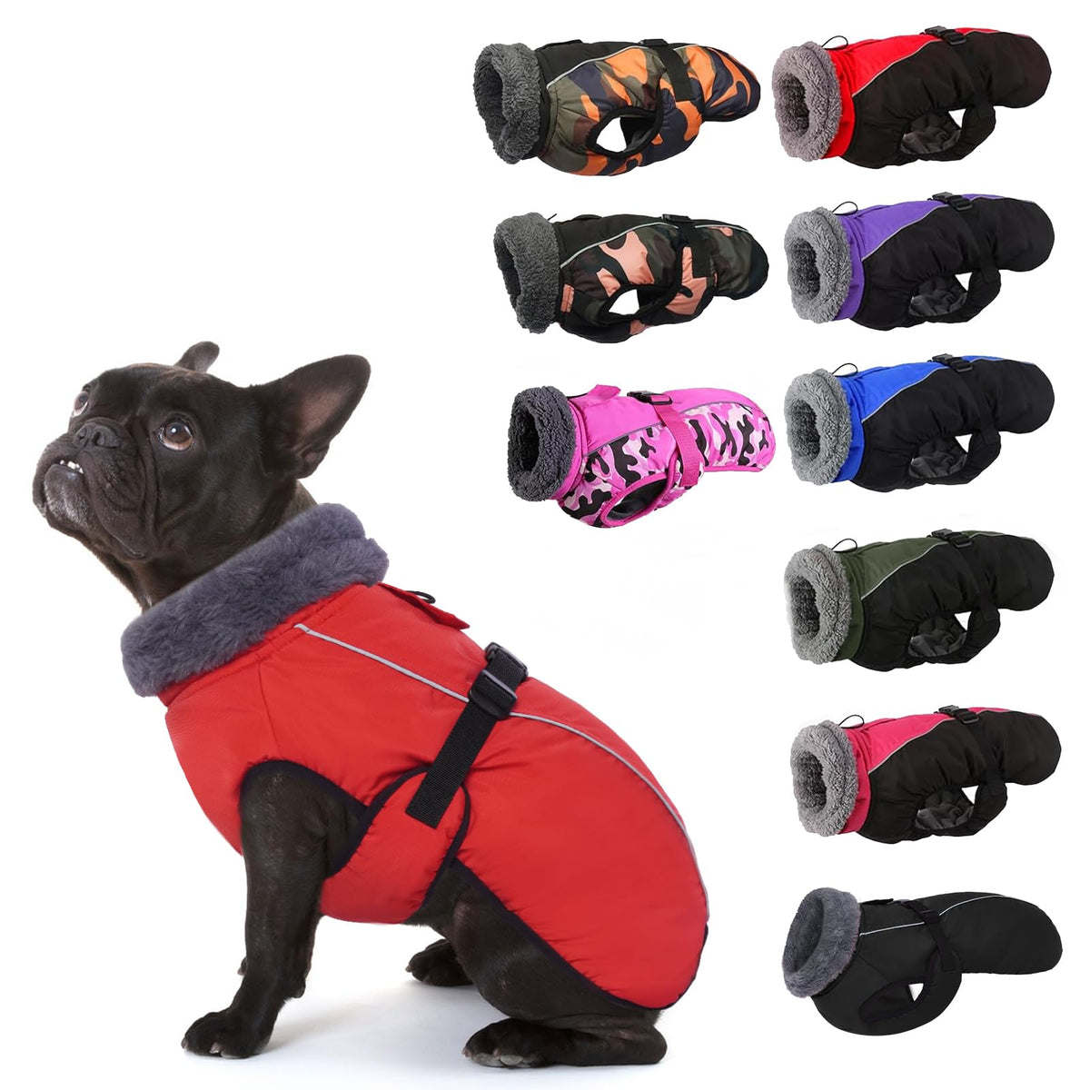 IECOii Extra Warm Dog Coat front view showing snug fit and warmth for winter walks