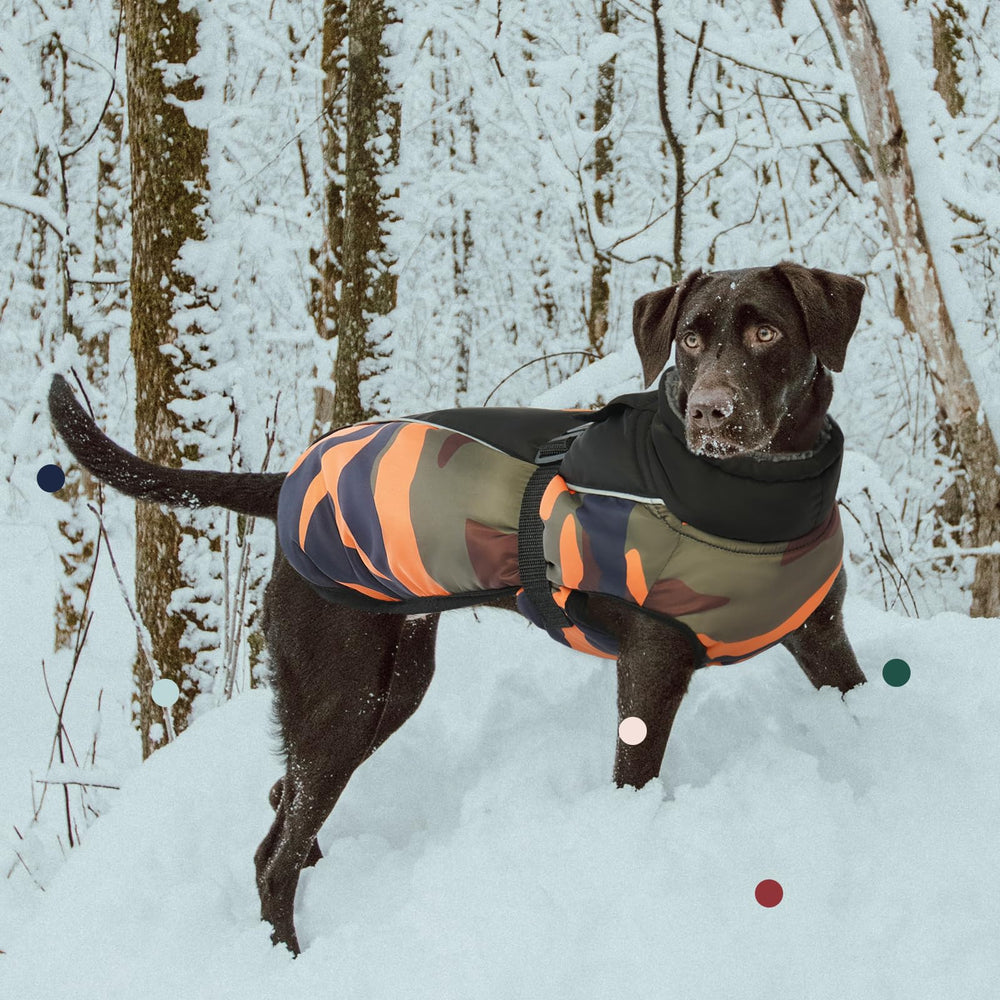 IECOii Extra Warm Dog Coat harness hole compatible with most harnesses for secure walks