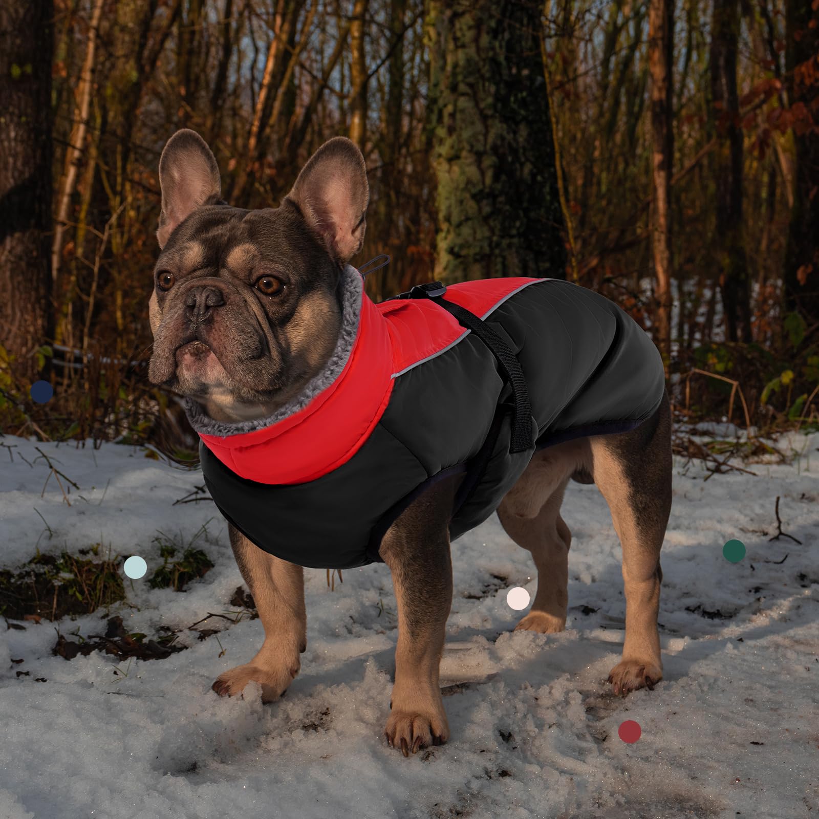 IECOii reflective harness hole design supports secure nighttime leash use