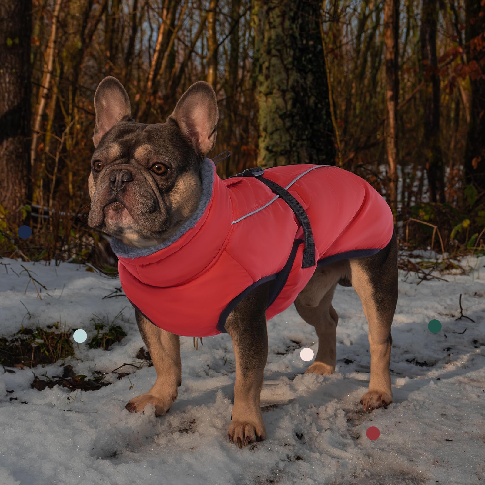 IECOii Extra Warm Dog Coat waterproof fabric protects against light rain and snow