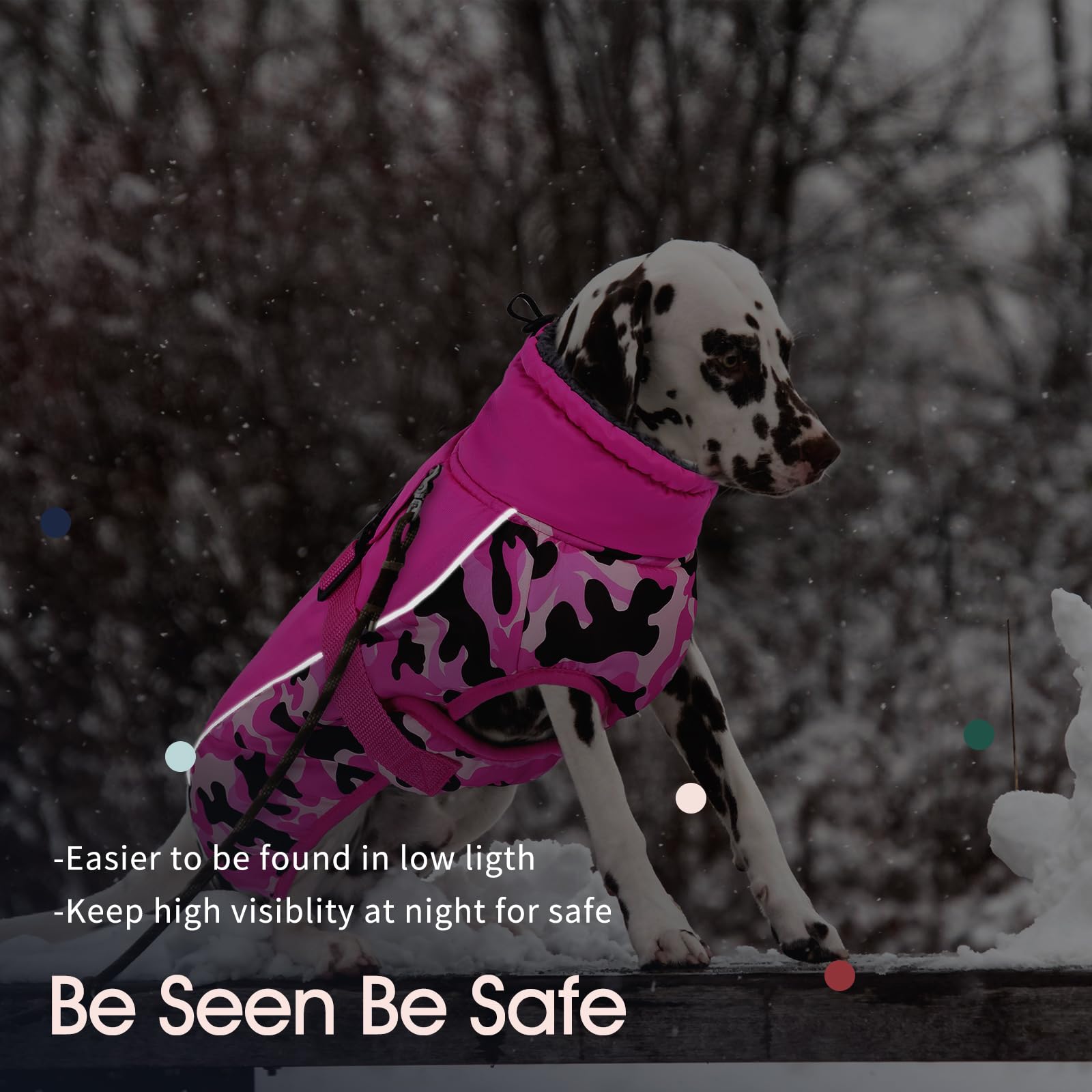 IECOii water-resistant fabric keeps your dog dry in light rain.