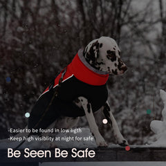 IECOii Extra Warm Dog Coat with waterproof fabric keeps dogs dry in light rain.