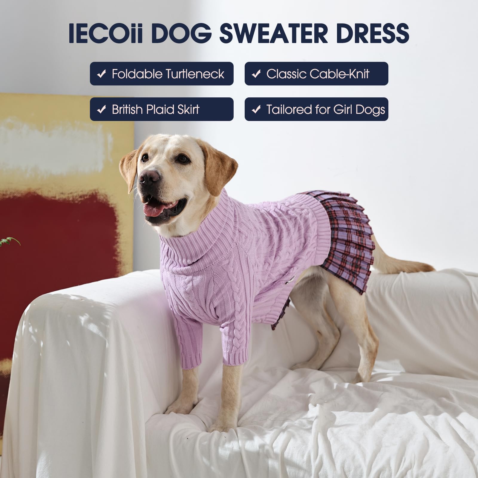 IECOii dog-sweater worn outdoors supports comfortable walks in cold weather