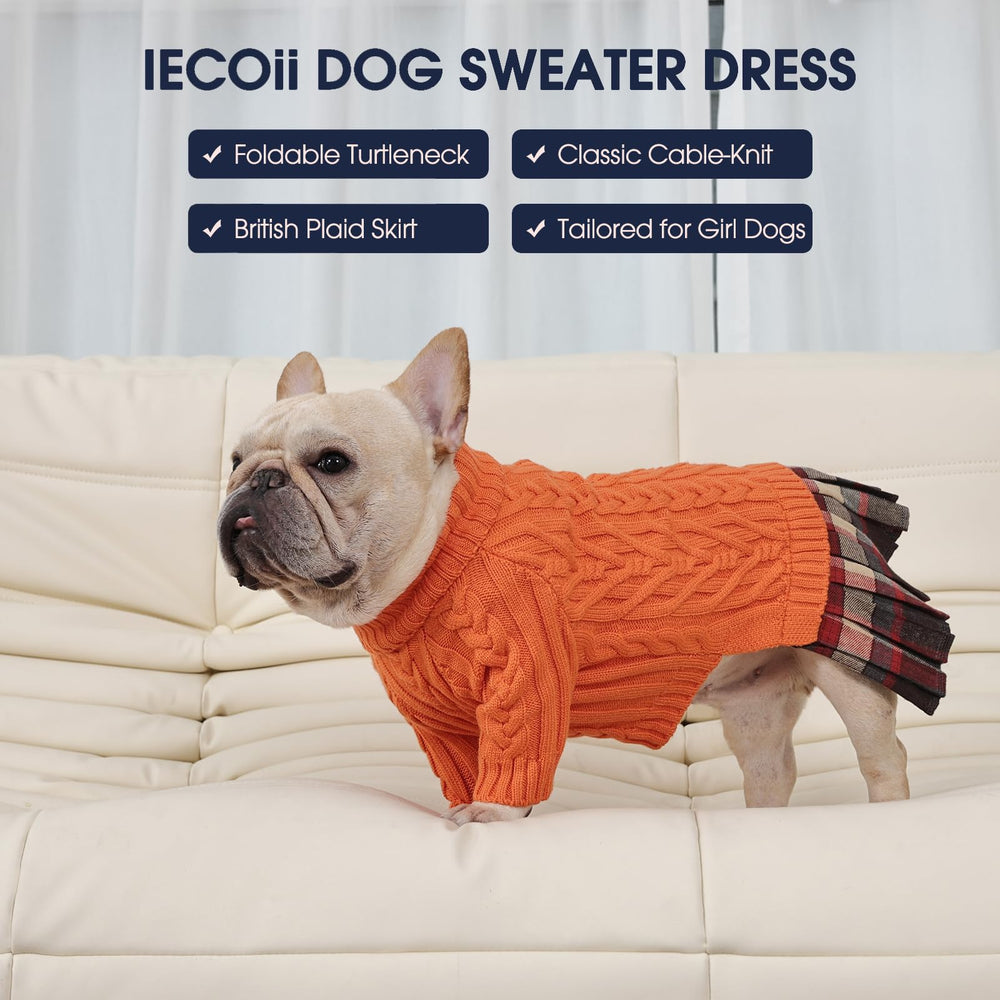 IECOii Great Dane wearing the sweater dress for winter days