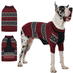 IECOii Great Dane sweater front view for extra warmth during outdoor strolls